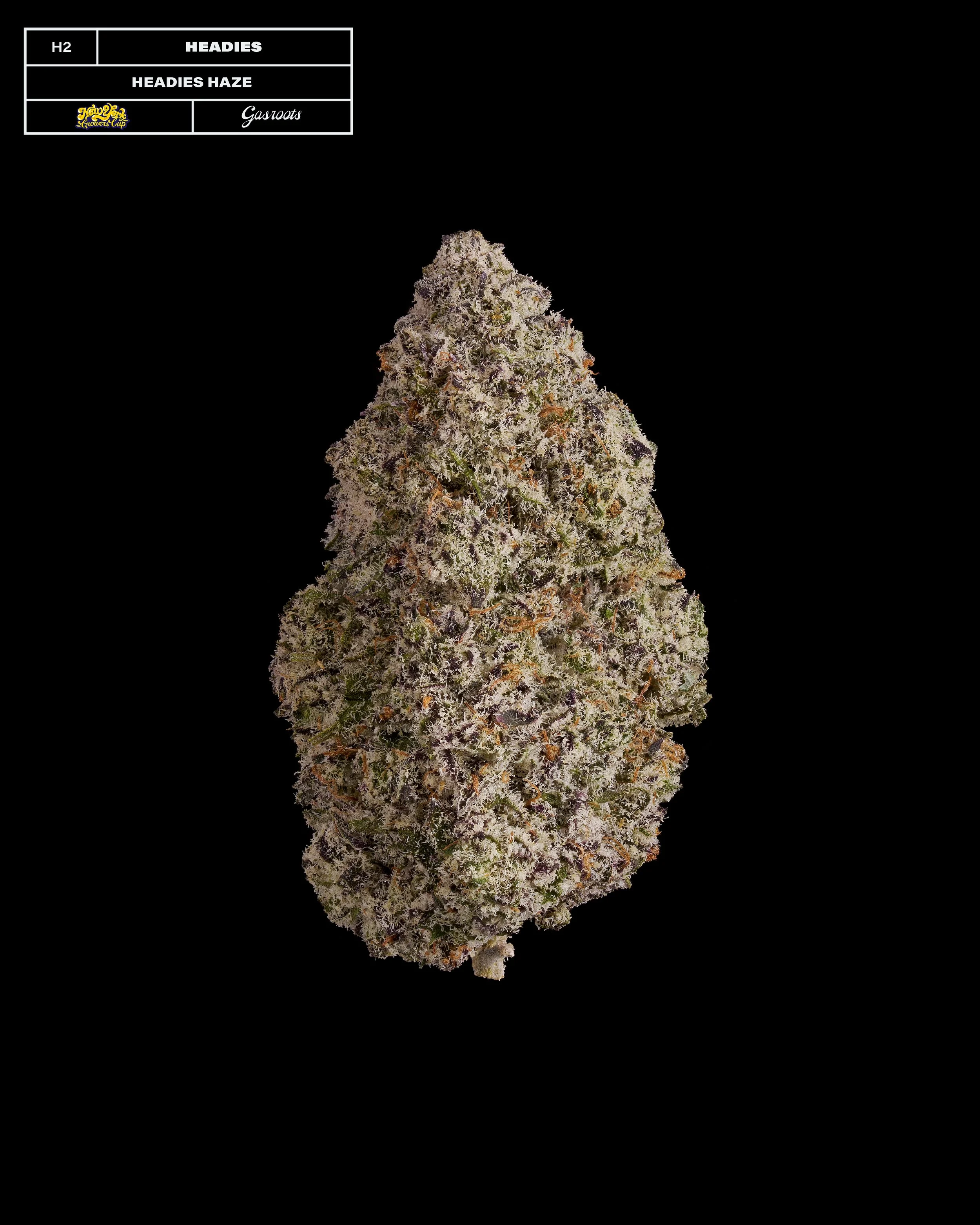 20231104_Gasroots_NYGrowersCup_H2_Headies_HeadiesHaze_Infographic.jpg