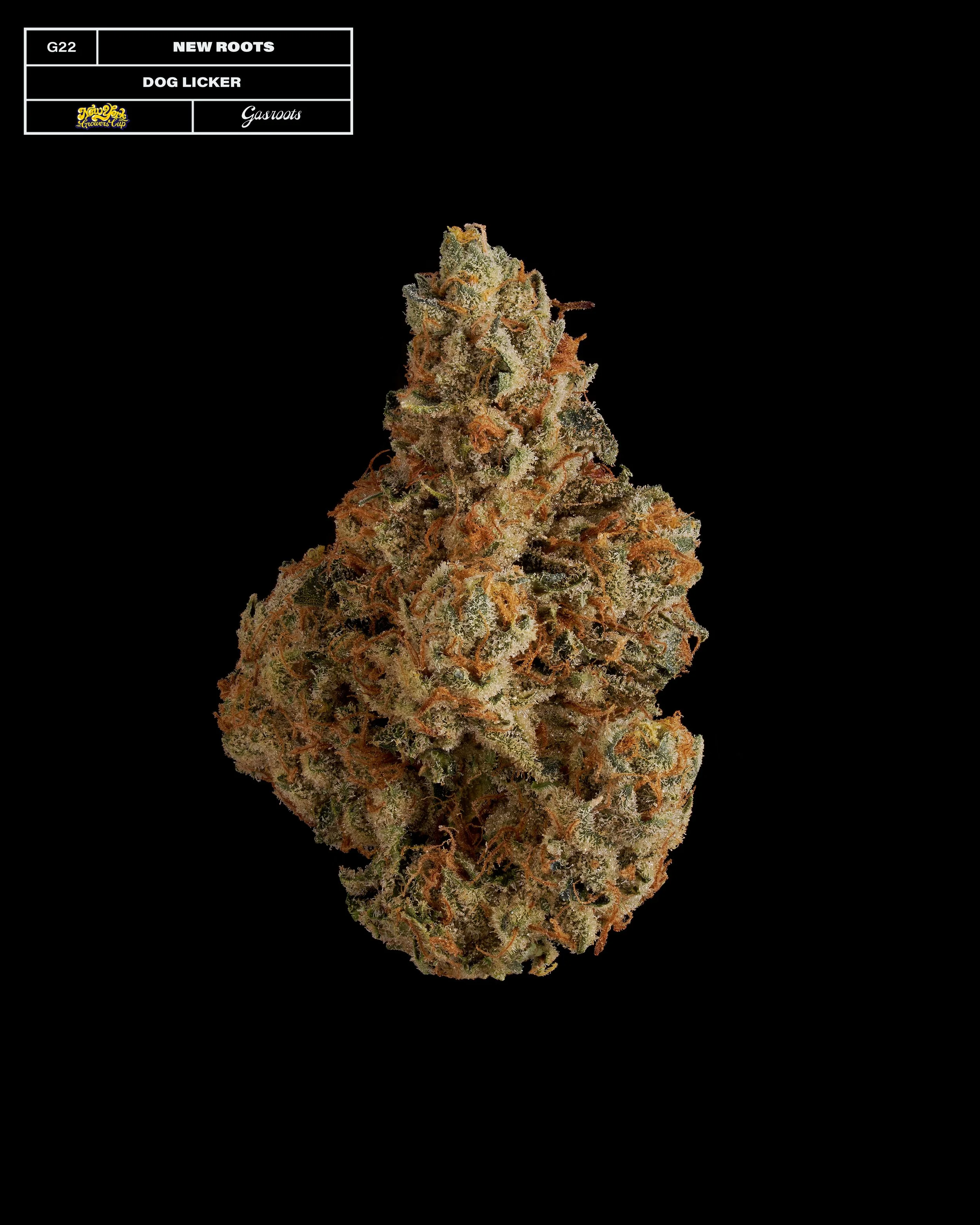 20231104_Gasroots_NYGrowersCup_G22_NewRootsGardens_DogLicker_Infographic.jpg
