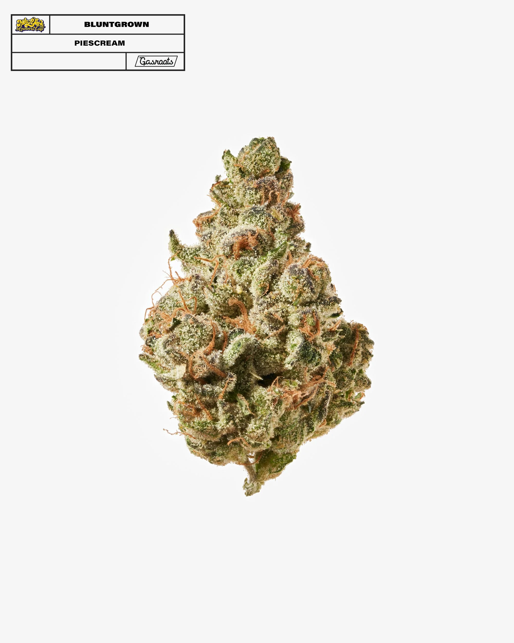 221011_NYSGC_EntryPhotos_F18_BluntGrown_Piescream_A 1.jpg