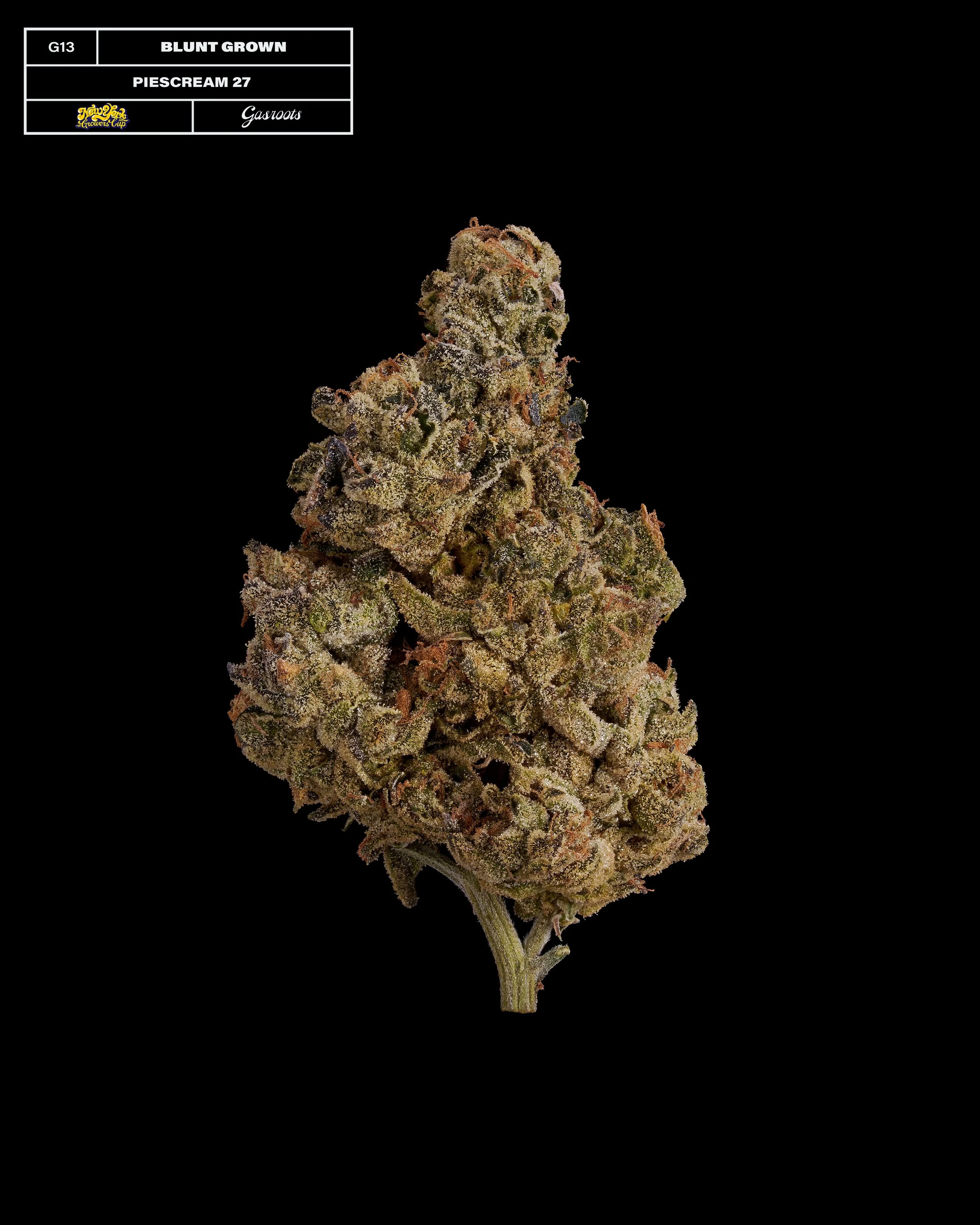 20231104_Gasroots_NYGrowersCup_G13_Bluntgrown_Piescream27_Infographic.jpg