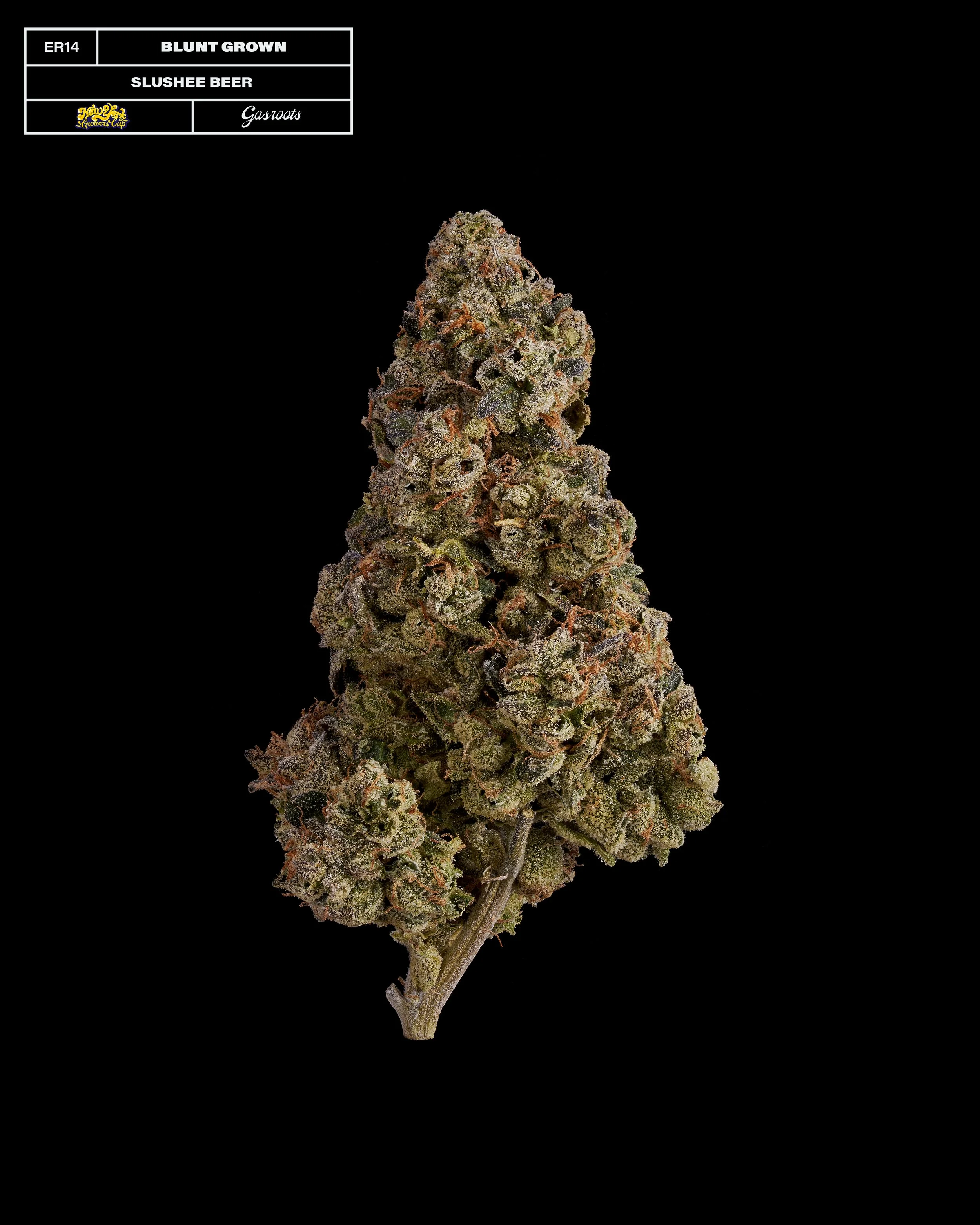 20231104_Gasroots_NYGrowersCup_ER14_Bluntgrown_SlusheeBeer_Infographic.jpg