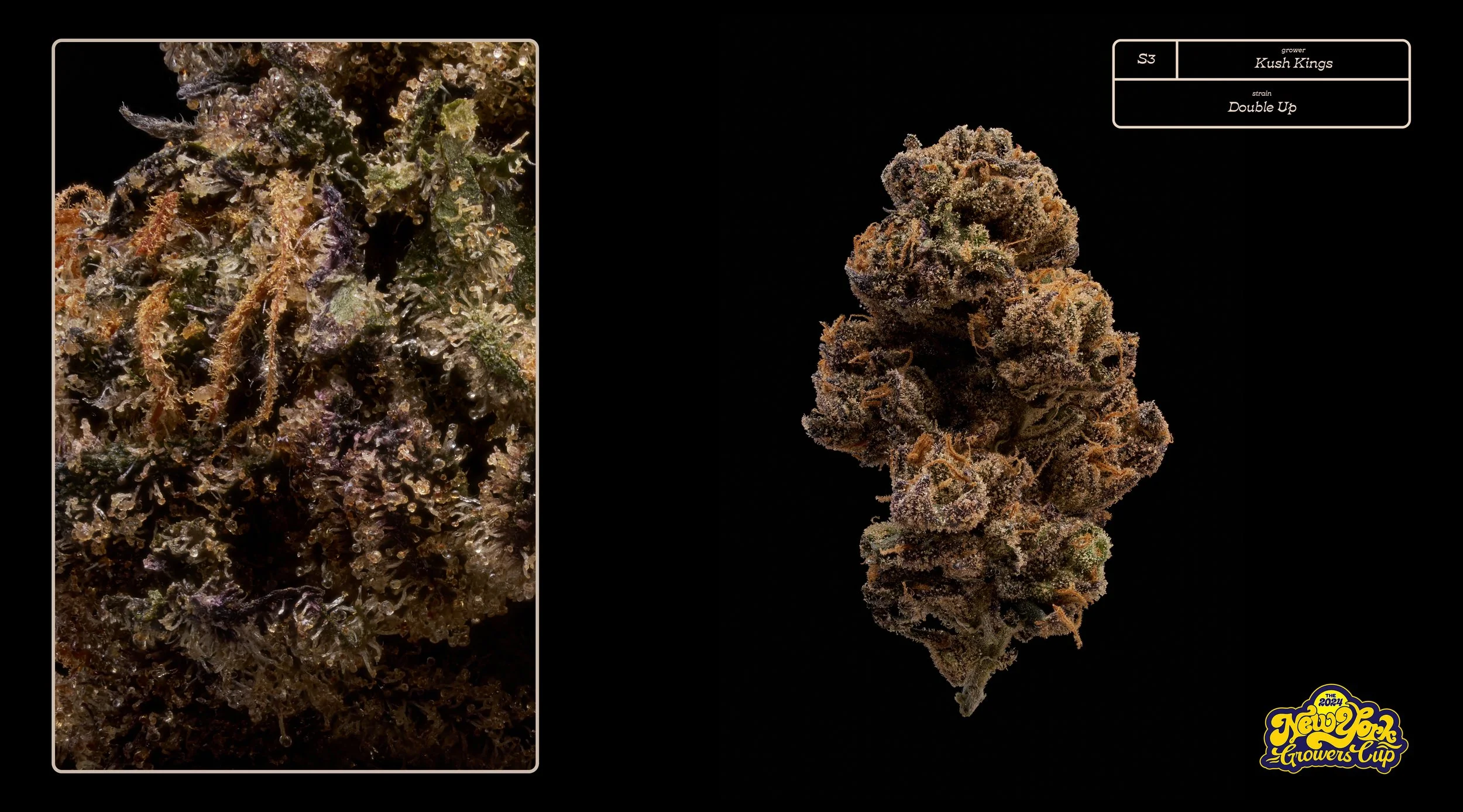 2024_NYGC_Slideshow-Entries_S3_ Kush Kings – “Double Up”%0A.jpg