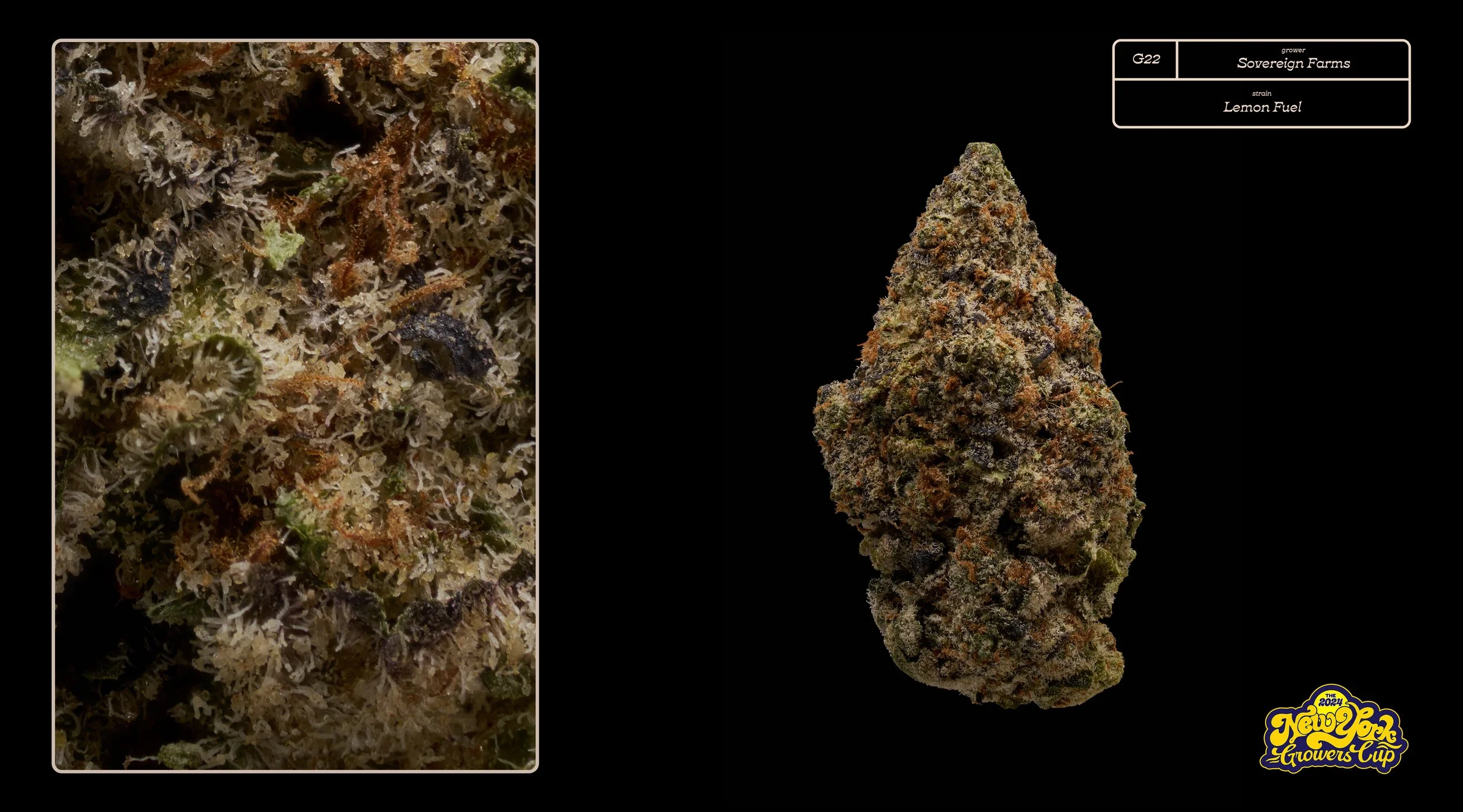 2024_NYGC_Slideshow-Entries_G22_ Sovereign Farms – “Lemon Fuel”%0A.jpg