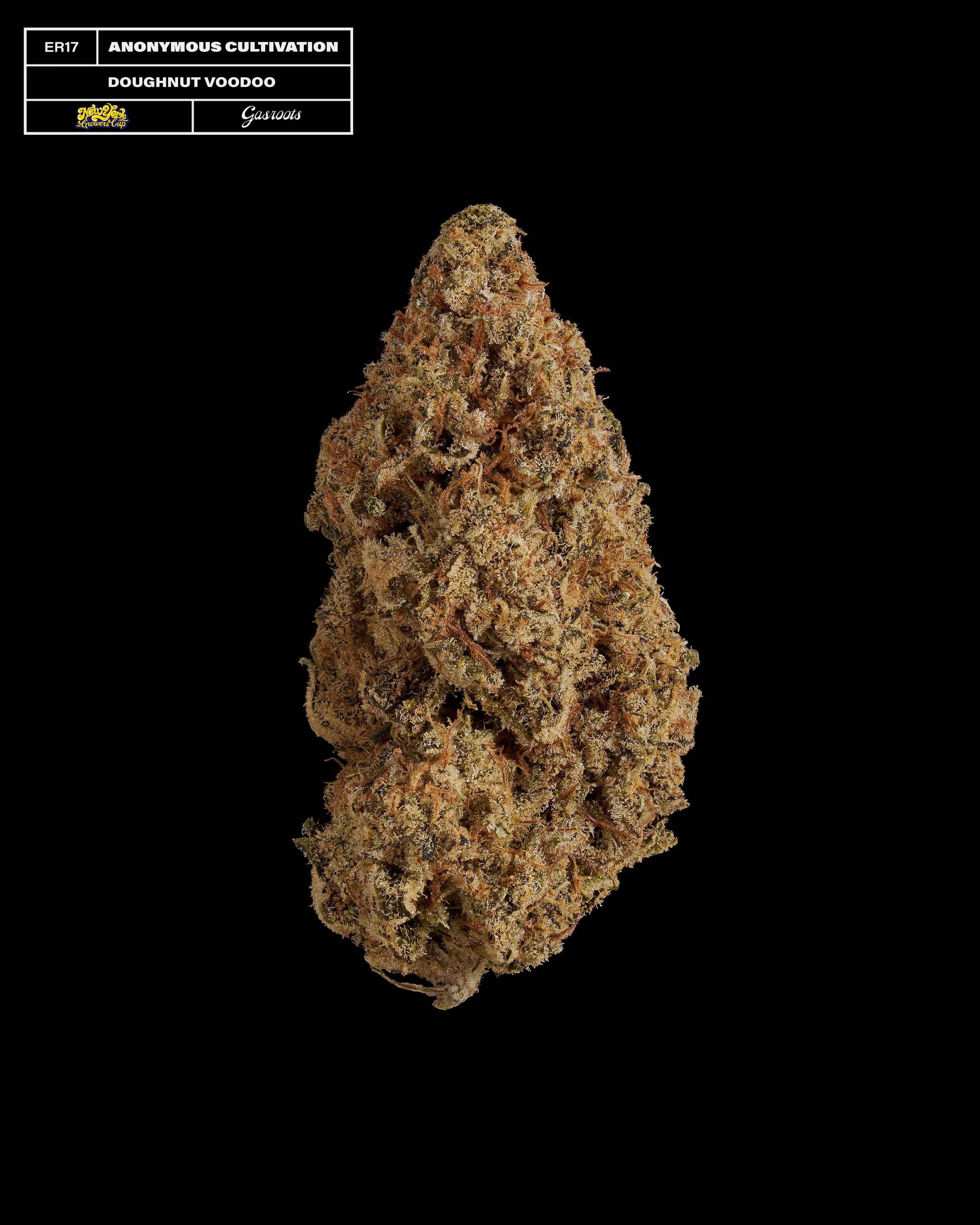 20231104_Gasroots_NYGrowersCup_ER17_AnonymousCultivation_DoughnutVoodoo_Infographic.jpg