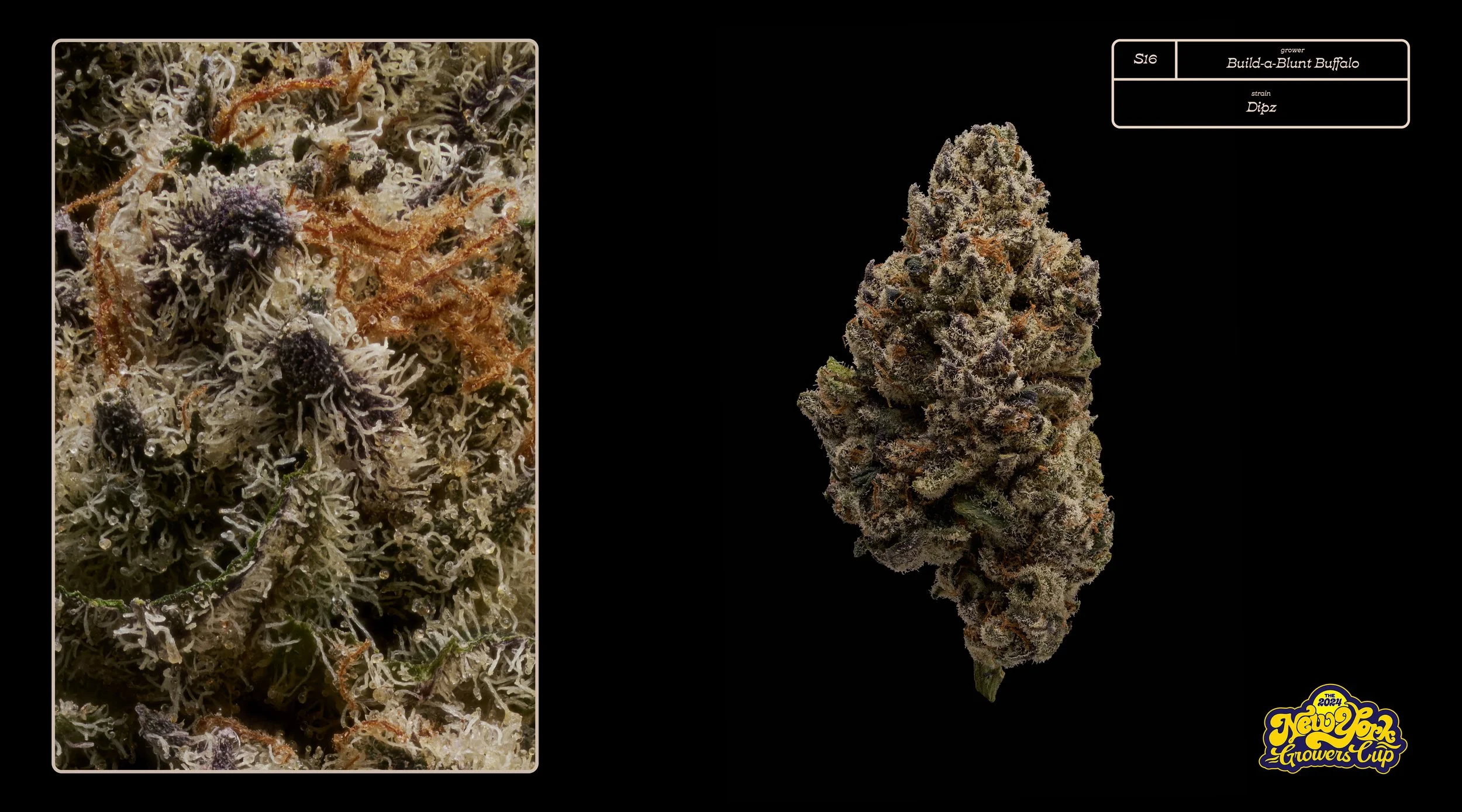 2024_NYGC_Slideshow-Entries_S16_ Build-a-Blunt Buffalo – “Dipz”%0A.jpg