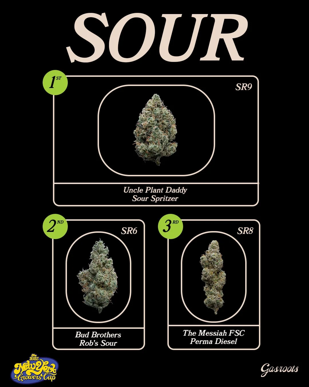 2025_SOUR.jpg