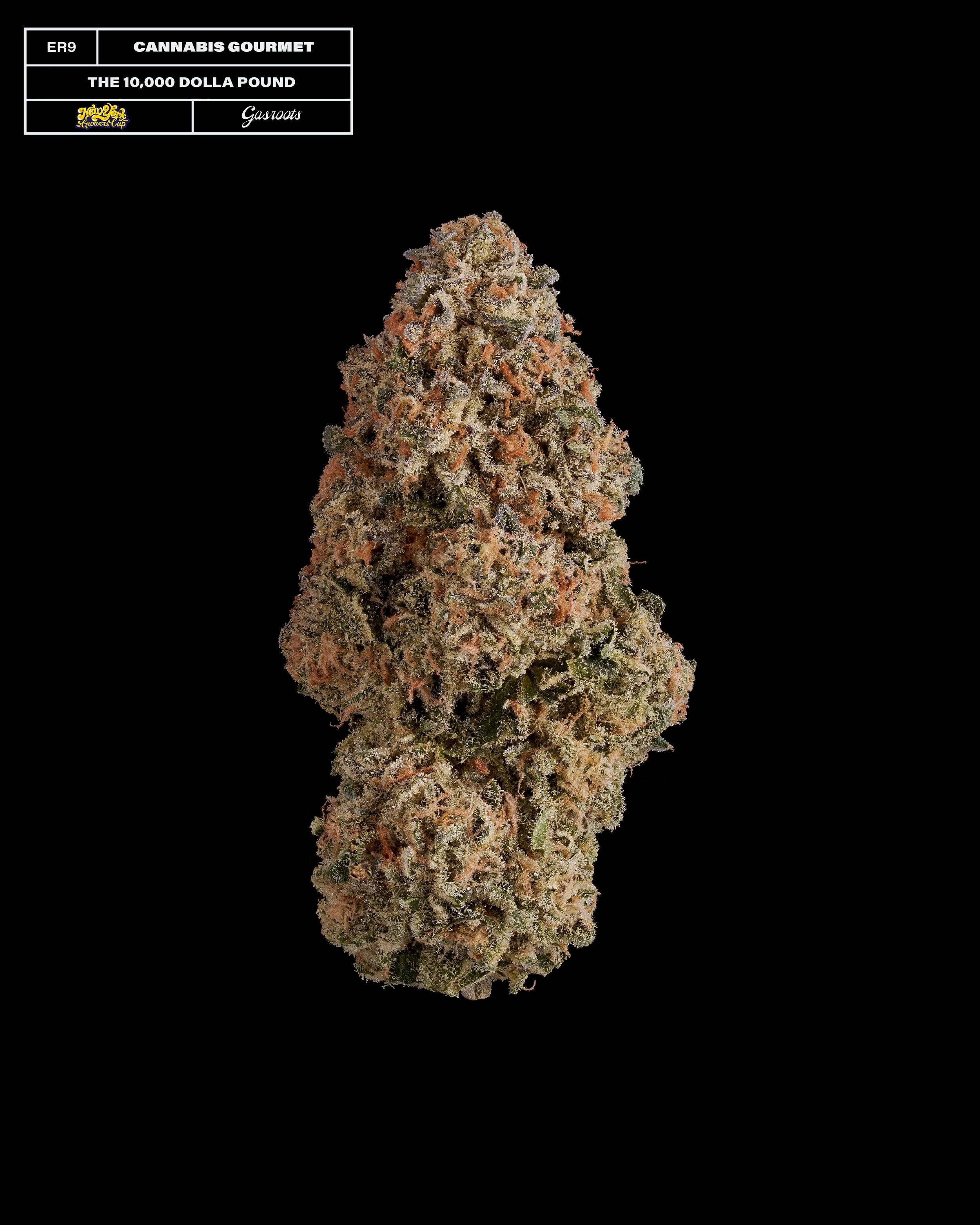 20231104_Gasroots_NYGrowersCup_ER9_CannabisGourmet_The10000DollaPound_Infographic.jpg