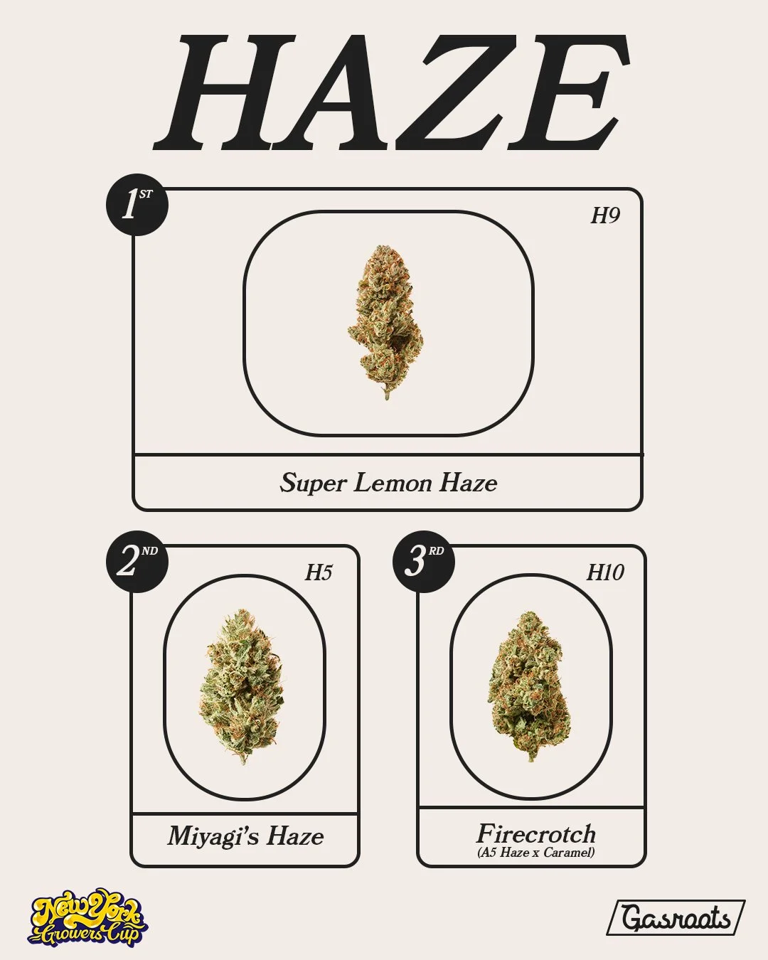 4A_GASROOTS_NYSGC2022_WINNERS_HAZE.jpg