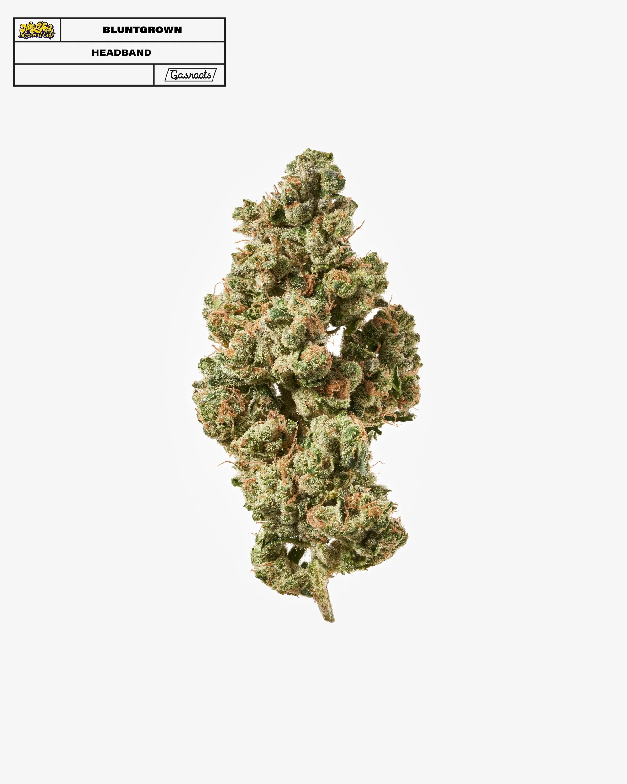 221011_NYSGC_EntryPhotos_ER19_BluntGrown_Headband_A 1.jpg