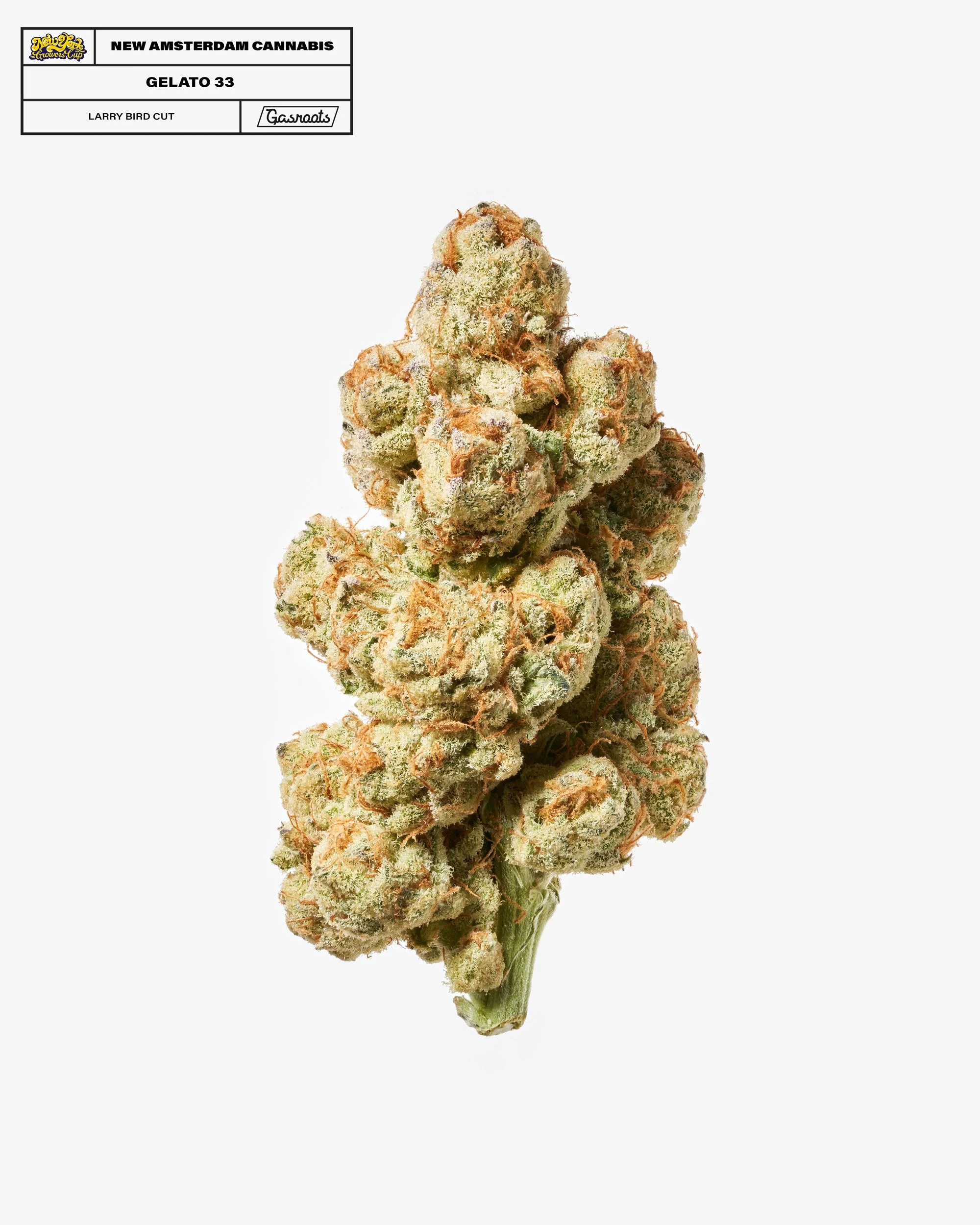 221011_NYSGC_EntryPhotos_F1_NewAmsterdam_Gelato33-LarryBirdCut_Fruit_A_Final 1.jpg