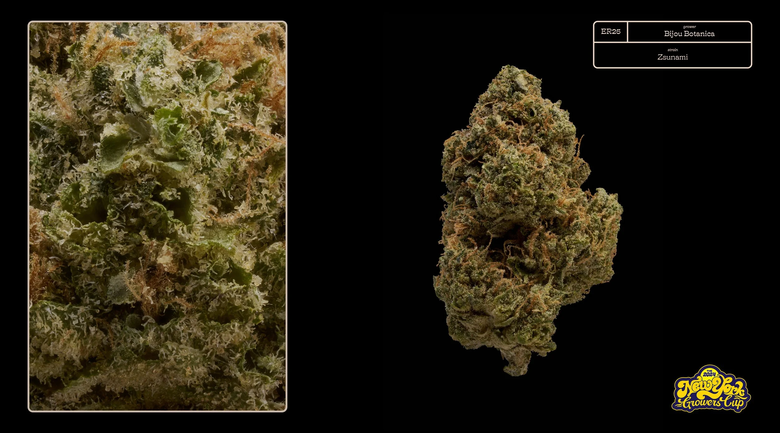 2024_NYGC_Slideshow-Entries_ER25_ Bijou Botanica – “Zsunami” .jpg