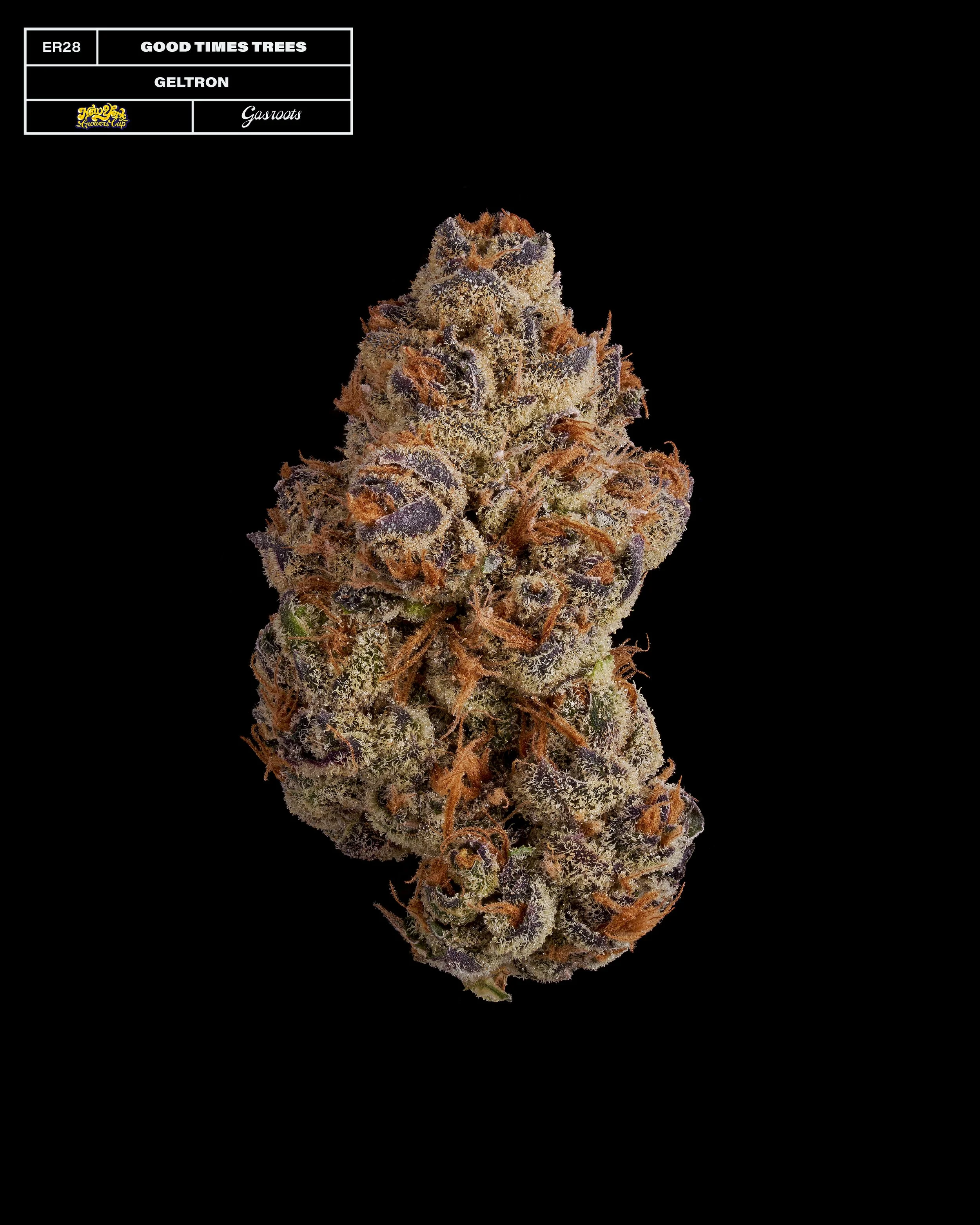 20231104_Gasroots_NYGrowersCup_ER28_GoodTimesTrees_Geltron_Infographic.jpg