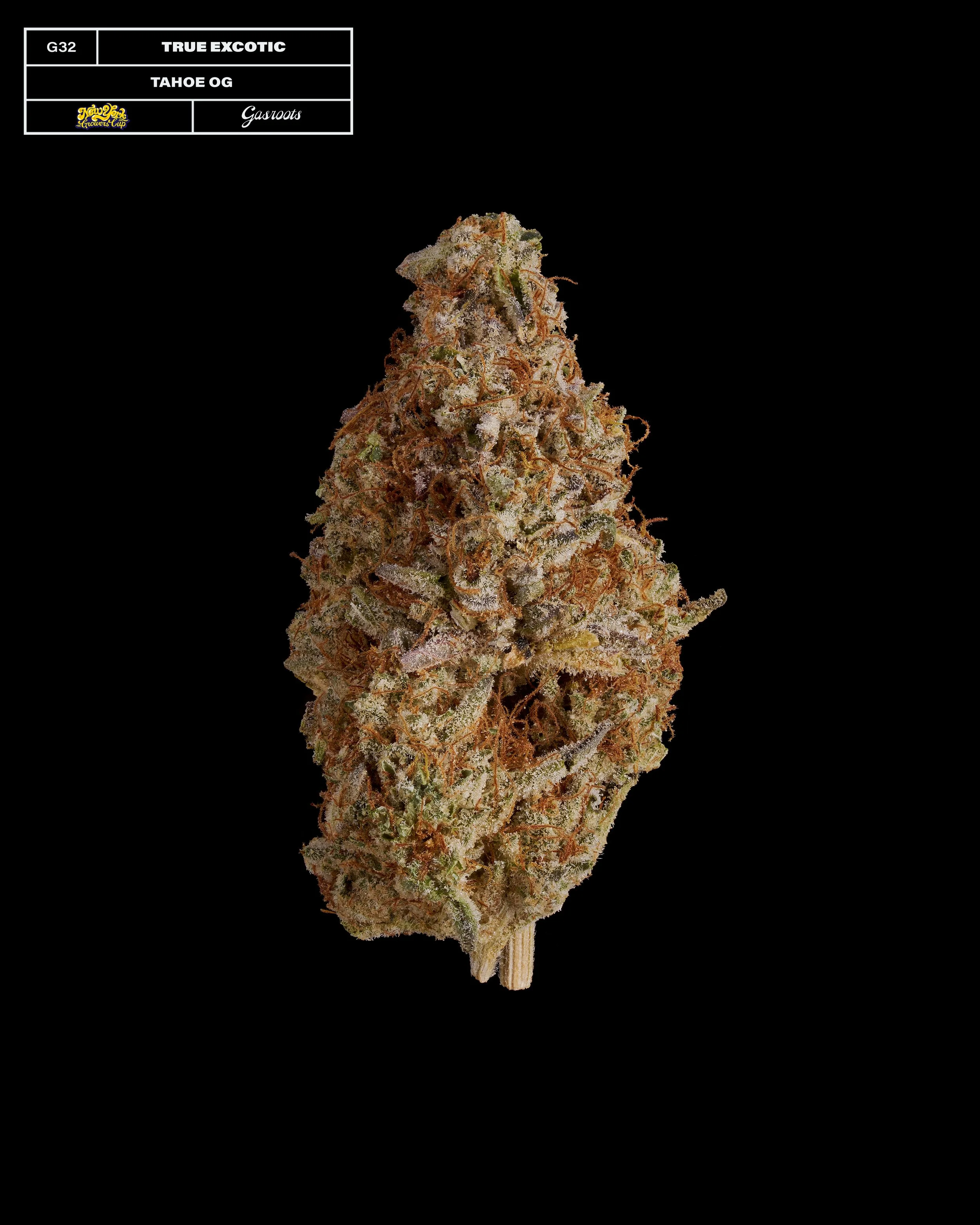 20231104_Gasroots_NYGrowersCup_G32_TrueExotics-GroWop_TahoeOG_Infographic.jpg
