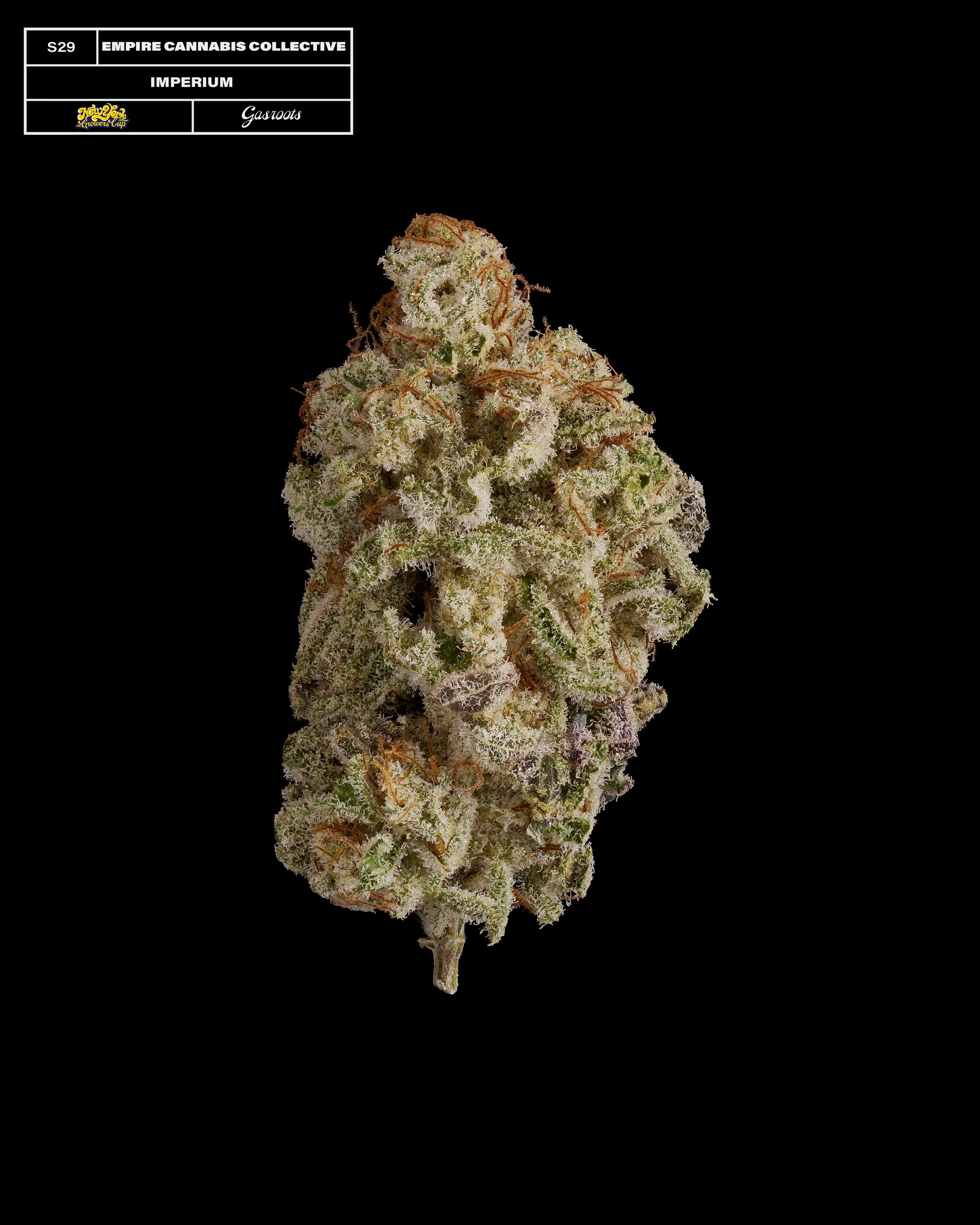 20231104_Gasroots_NYGrowersCup_S29_EmpireCannabisCollective_Imperium_Infographic.jpg
