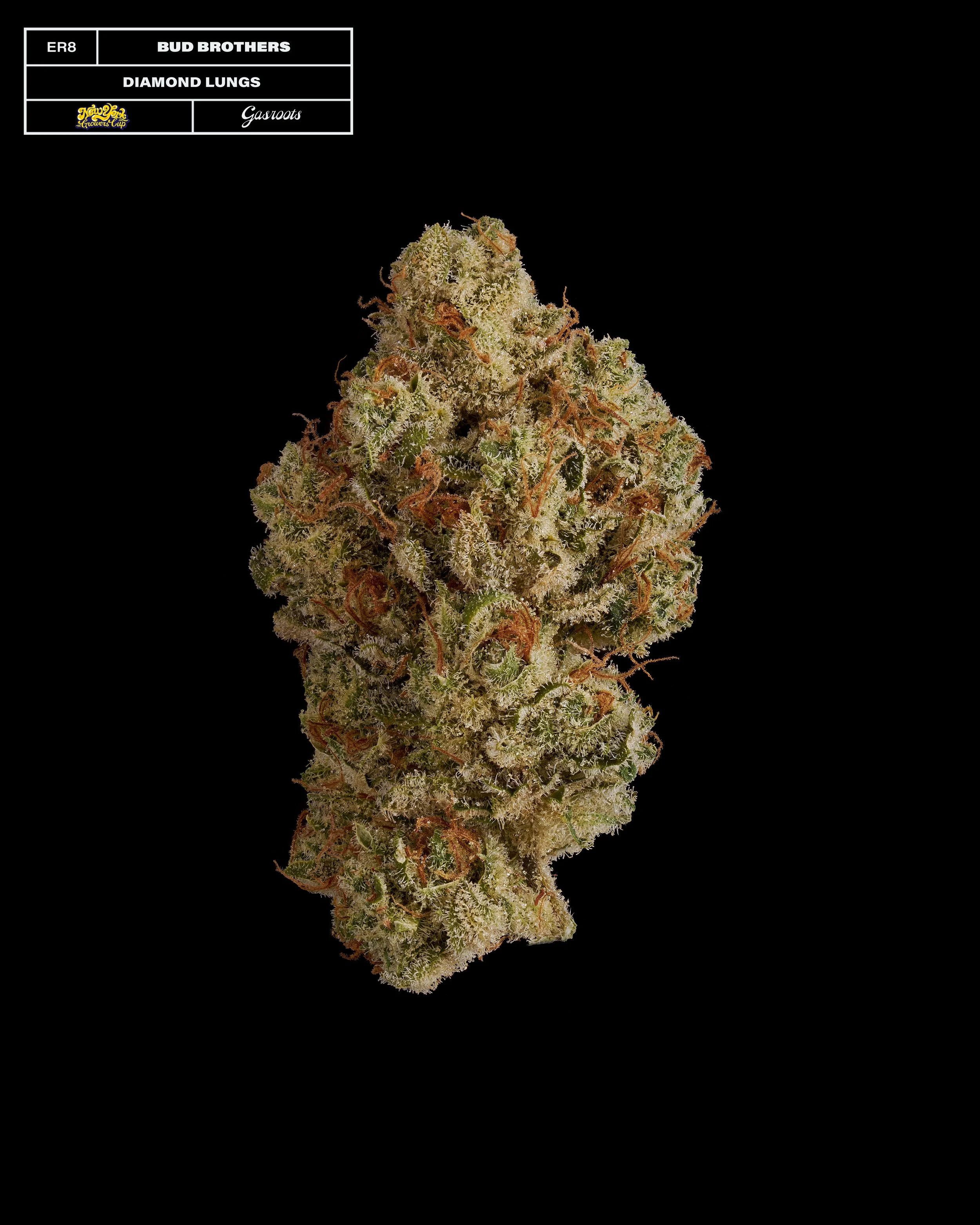 20231104_Gasroots_NYGrowersCup_ER8_BudBrothers_DiamondLungs_Infographic.jpg