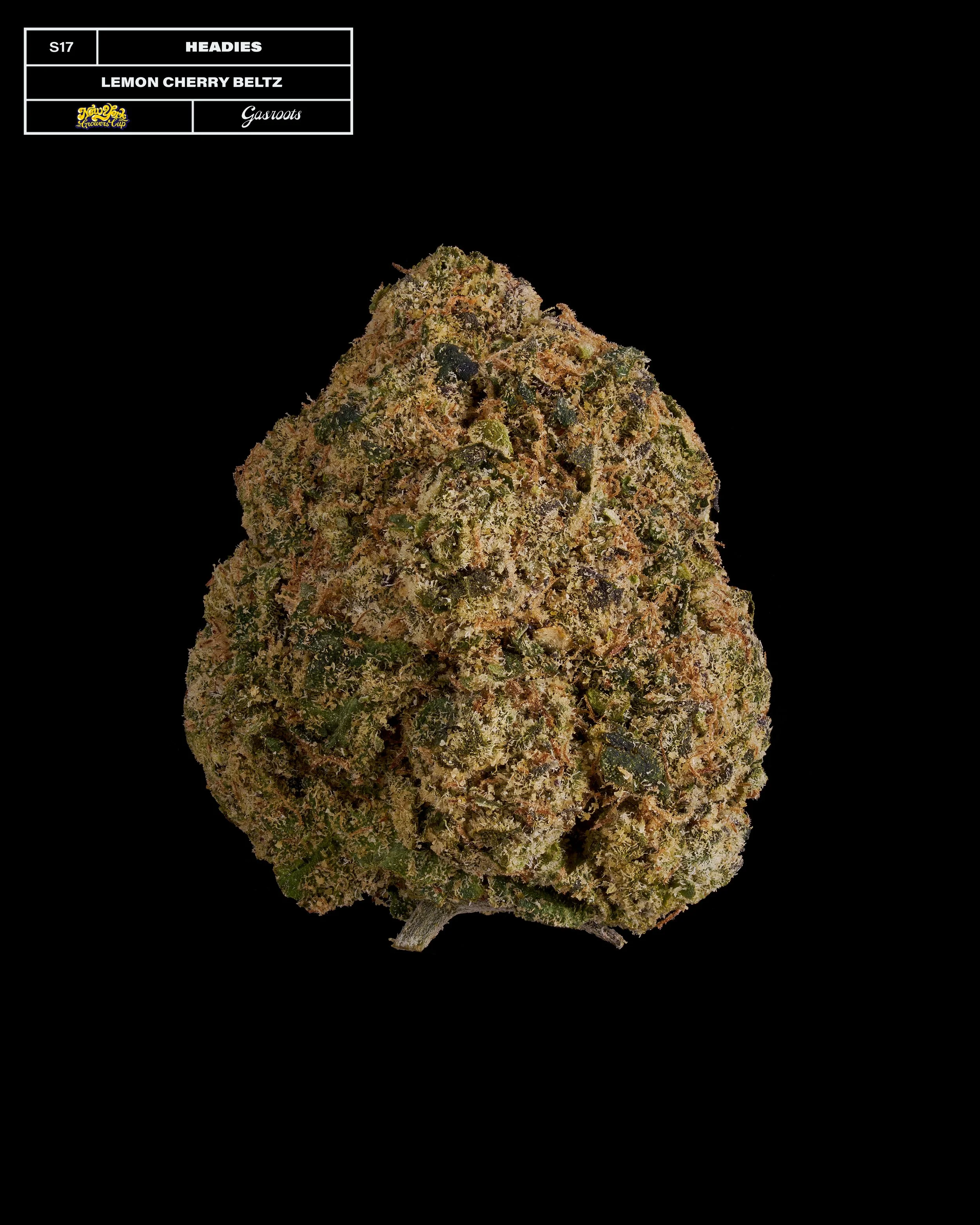 20231104_Gasroots_NYGrowersCup_S17_Headies_LemonCherryBeltz_Infographic.jpg