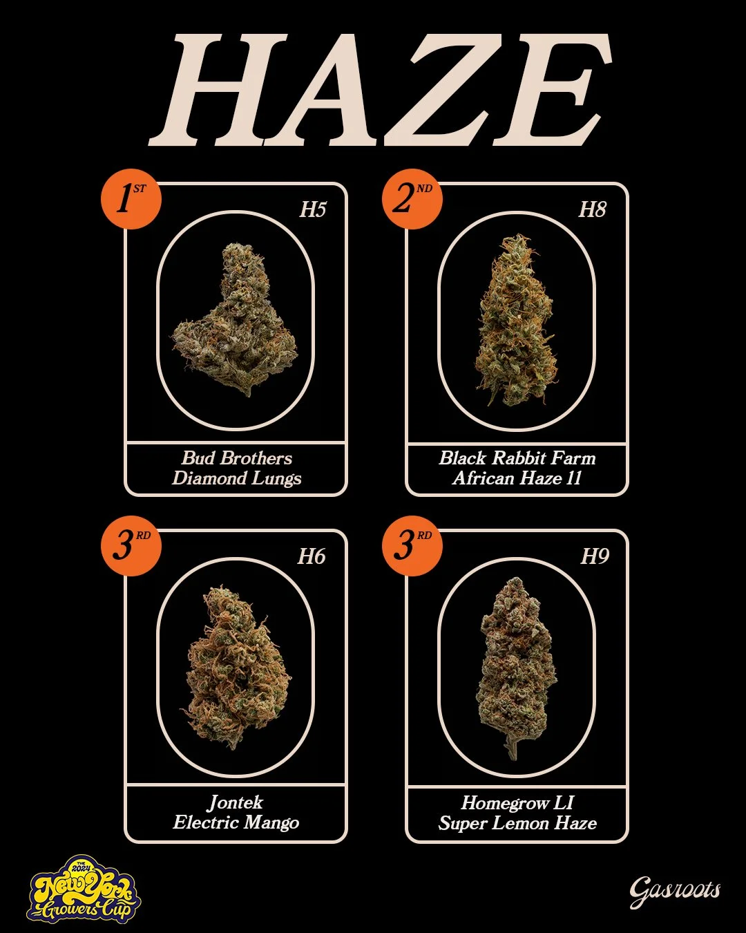WINNER_GFX_2024_V01HAZE.jpg