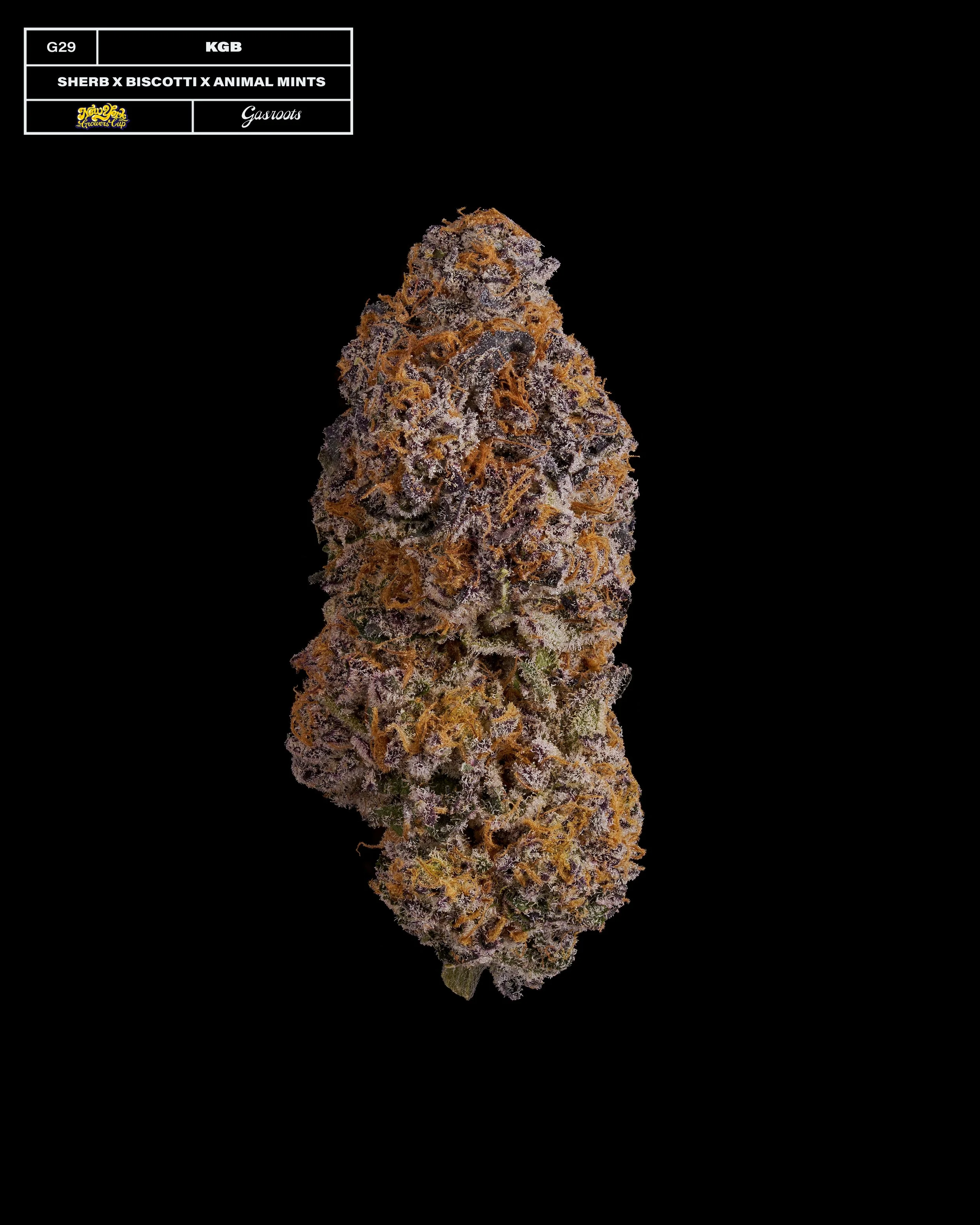 20231104_Gasroots_NYGrowersCup_G29_KGB_SherbXBiscotti_Infographic.jpg