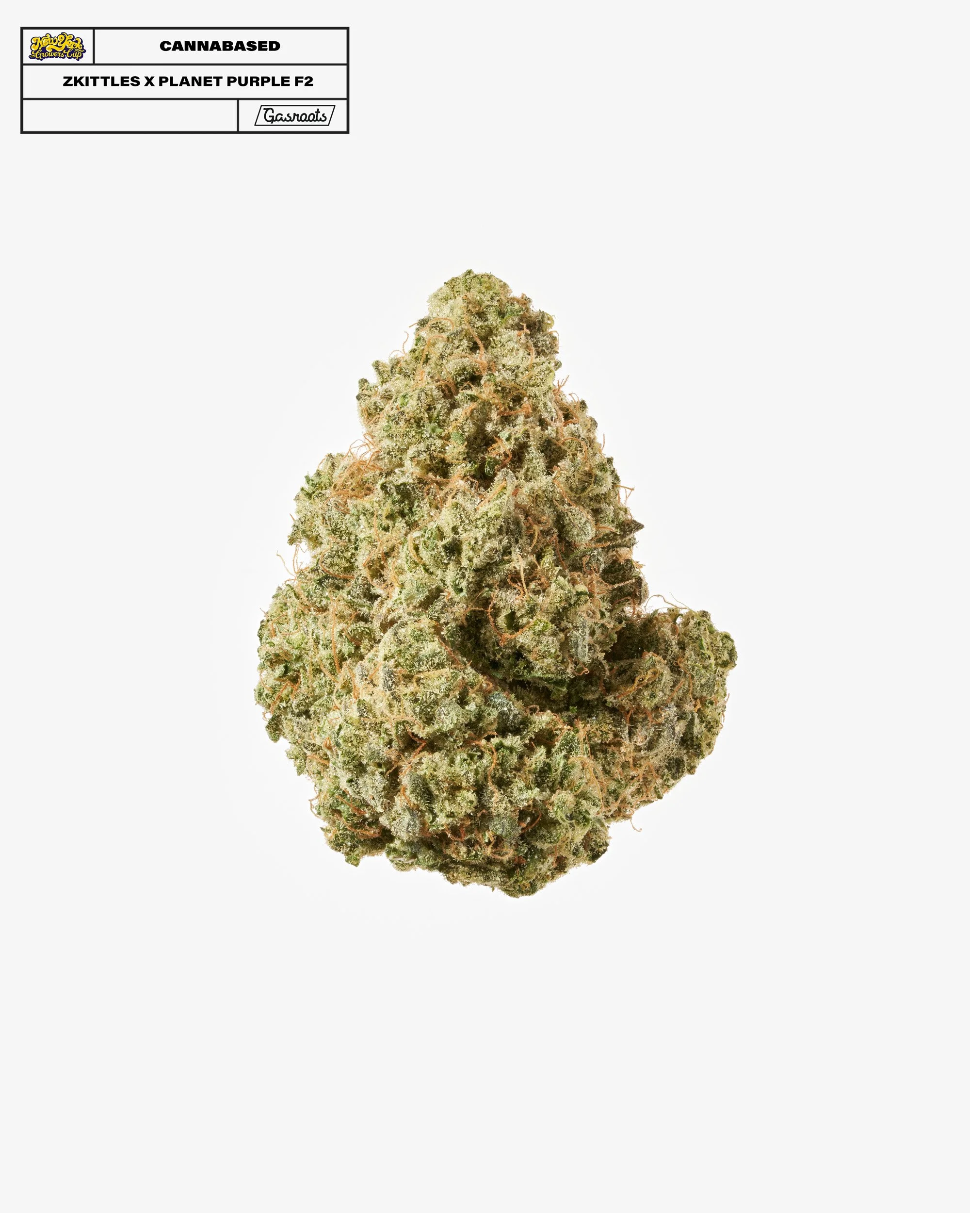 221011_NYSGC_EntryPhotos_ER20_EdFromCannabased_ZkittlesXPlanetPurpleF2Pheno1_A.jpg