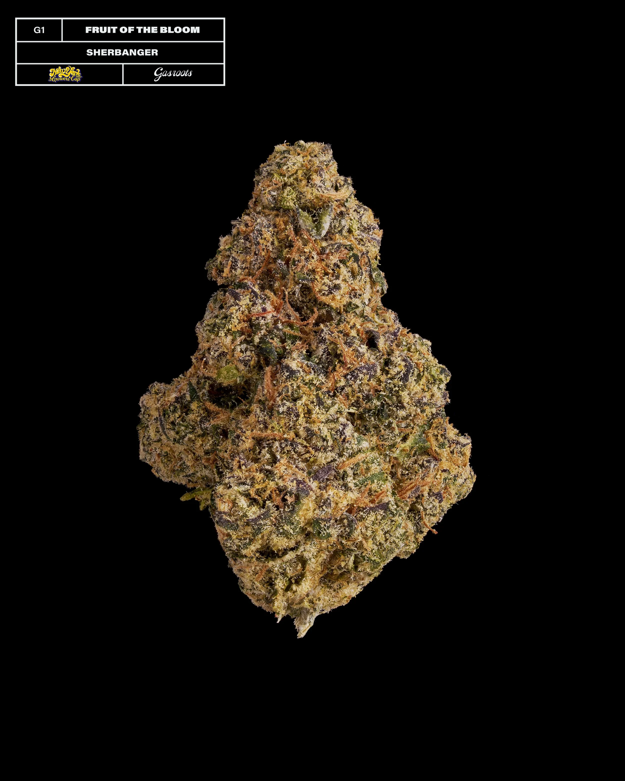 20231104_Gasroots_NYGrowersCup_G1_FruitOfTheBloom_Sherbanger_Infographic.jpg