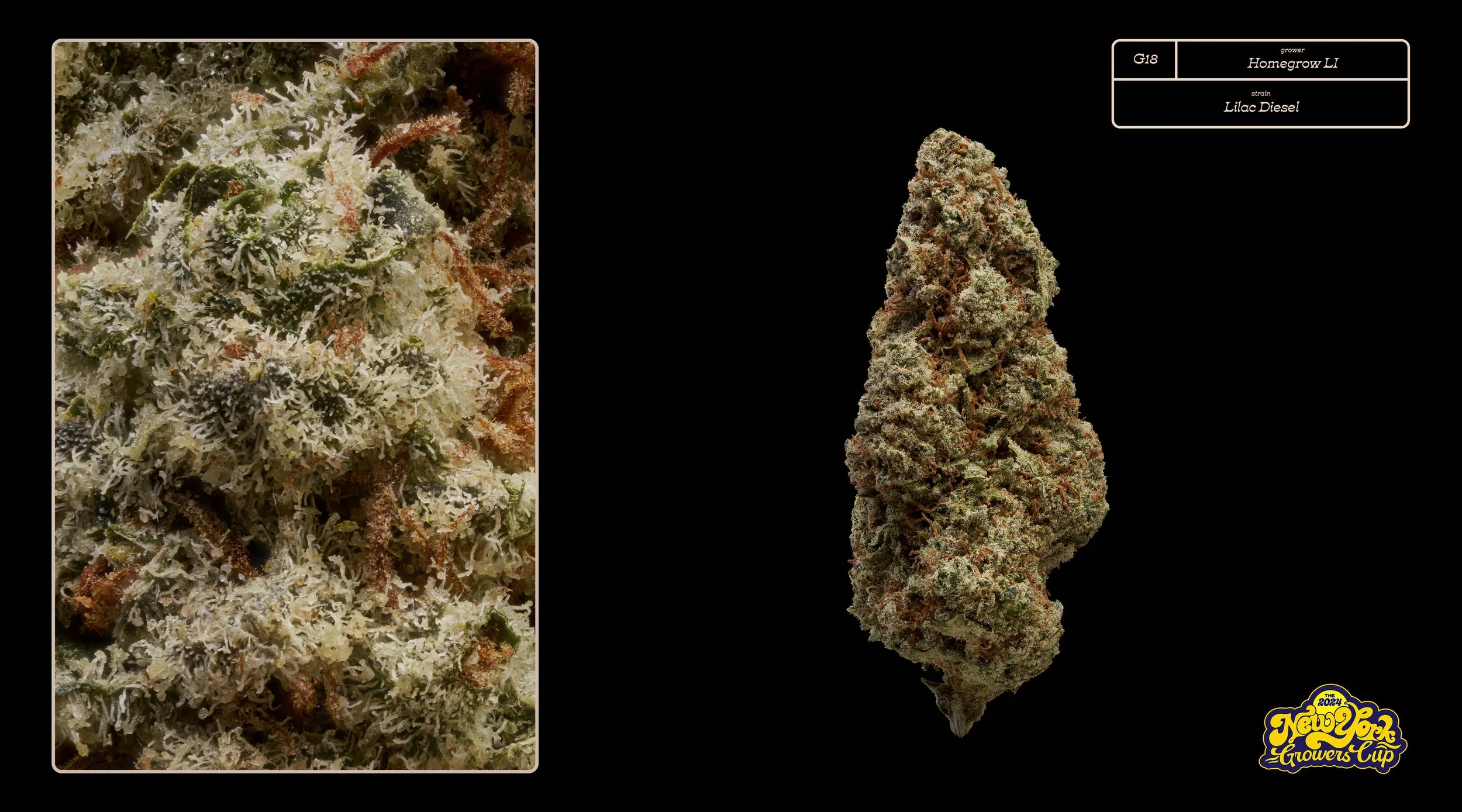 2024_NYGC_Slideshow-Entries_G18_ Homegrow LI – “Lilac Diesel”%0A.jpg