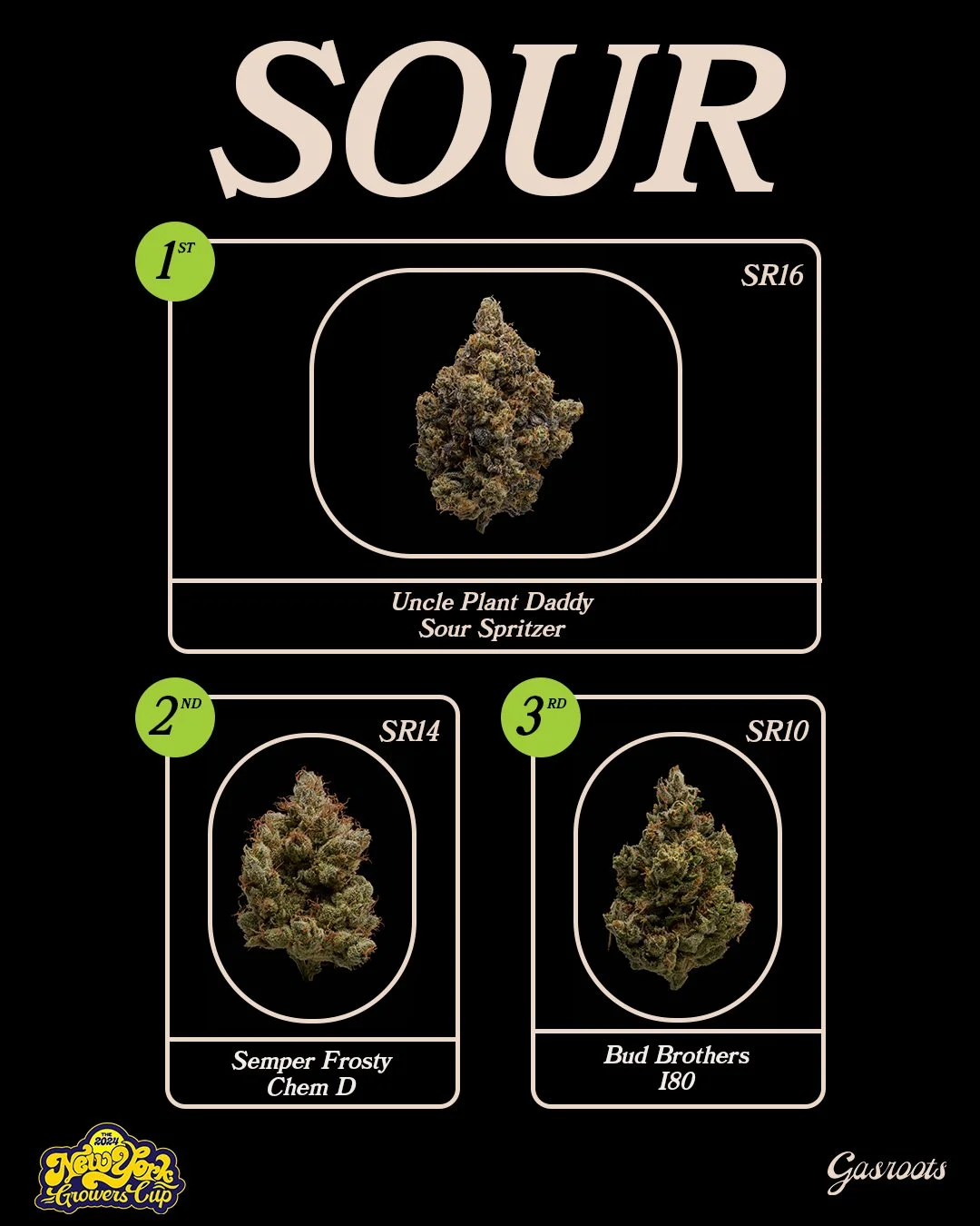 WINNER_GFX_2024_V01SOUR.jpg