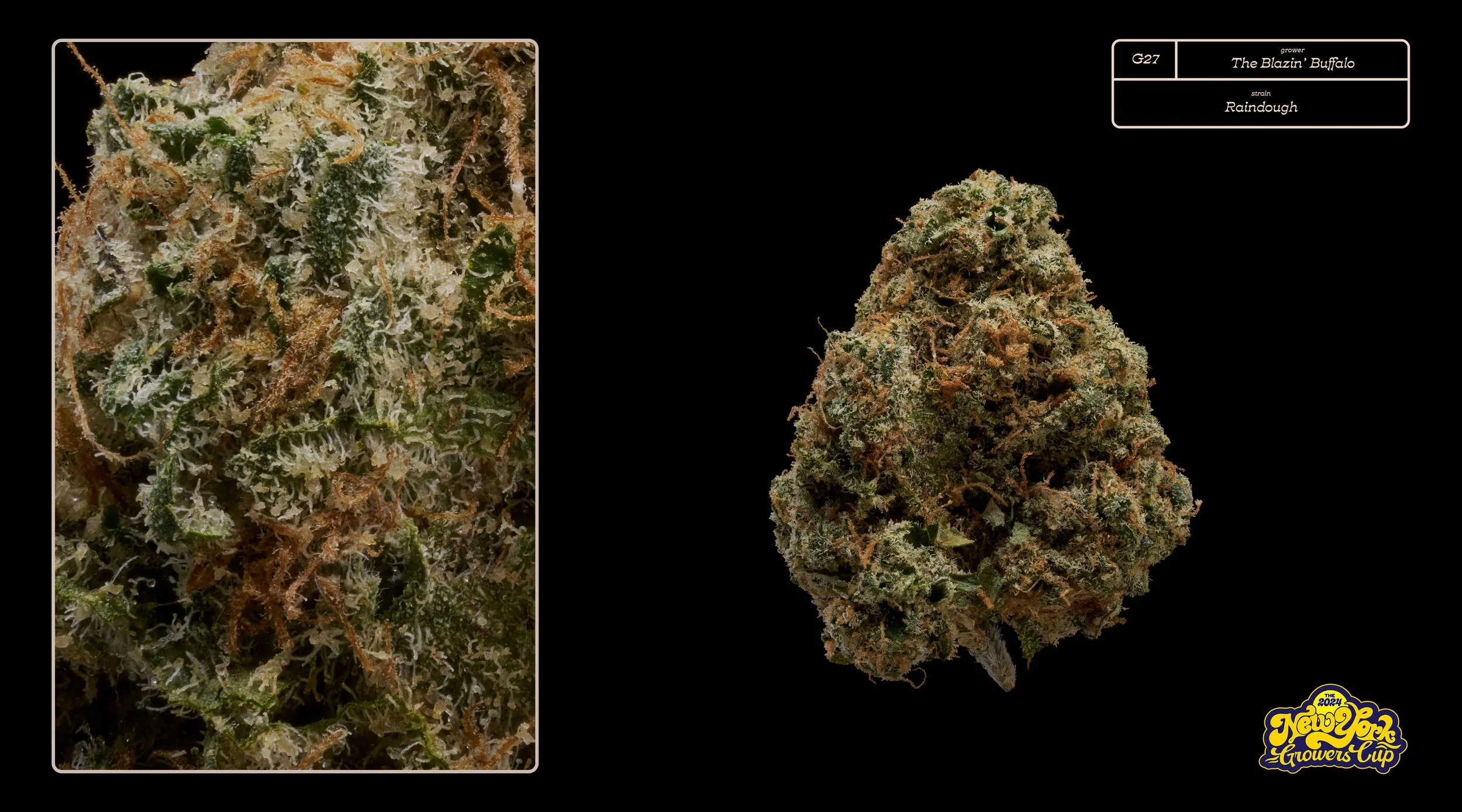 2024_NYGC_Slideshow-Entries_G27_ The Blazin’ Buffalo – “Raindough”%0A.jpg