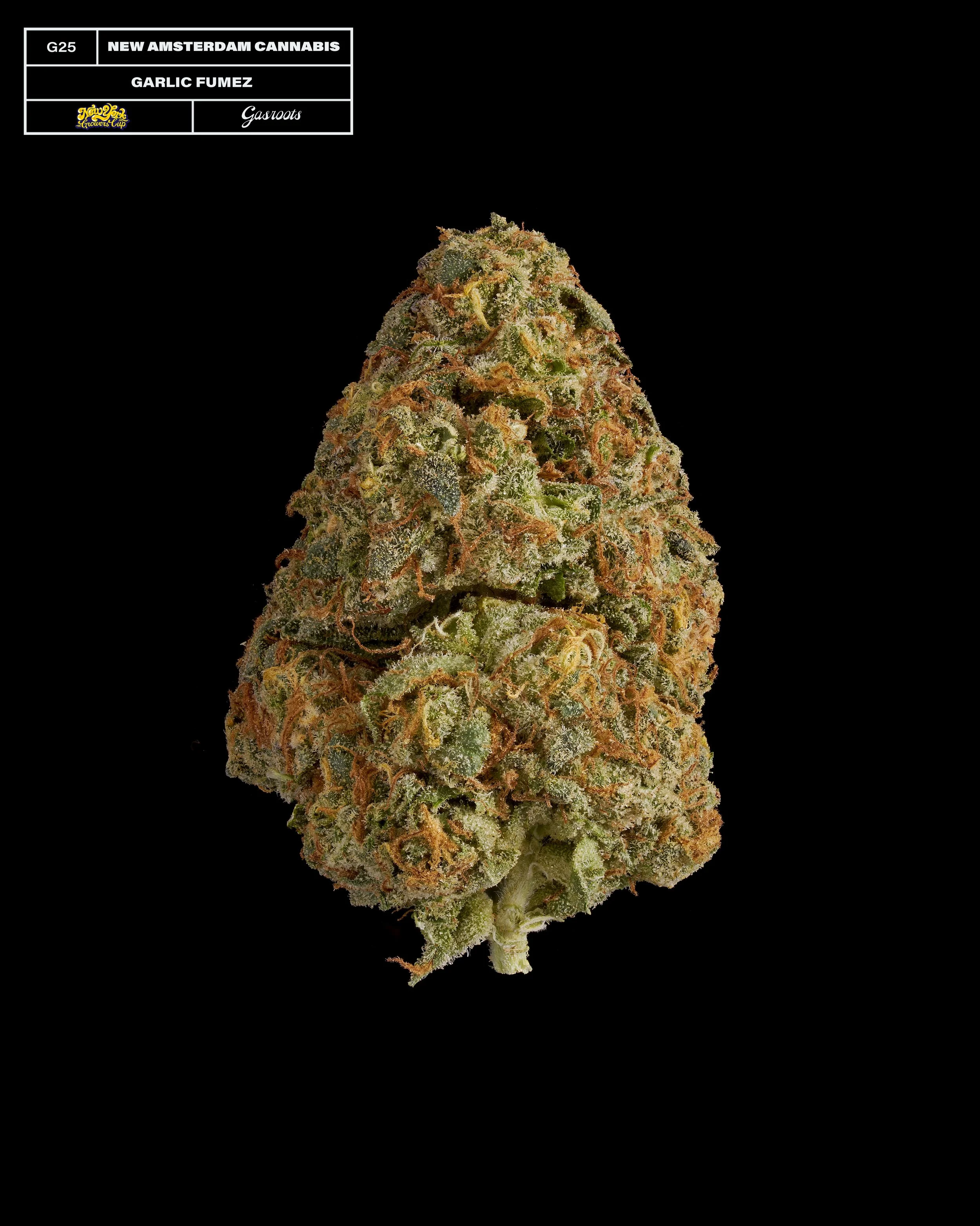 20231104_Gasroots_NYGrowersCup_G25_NewAmsterdam_GarlicFumez_Infographic.jpg