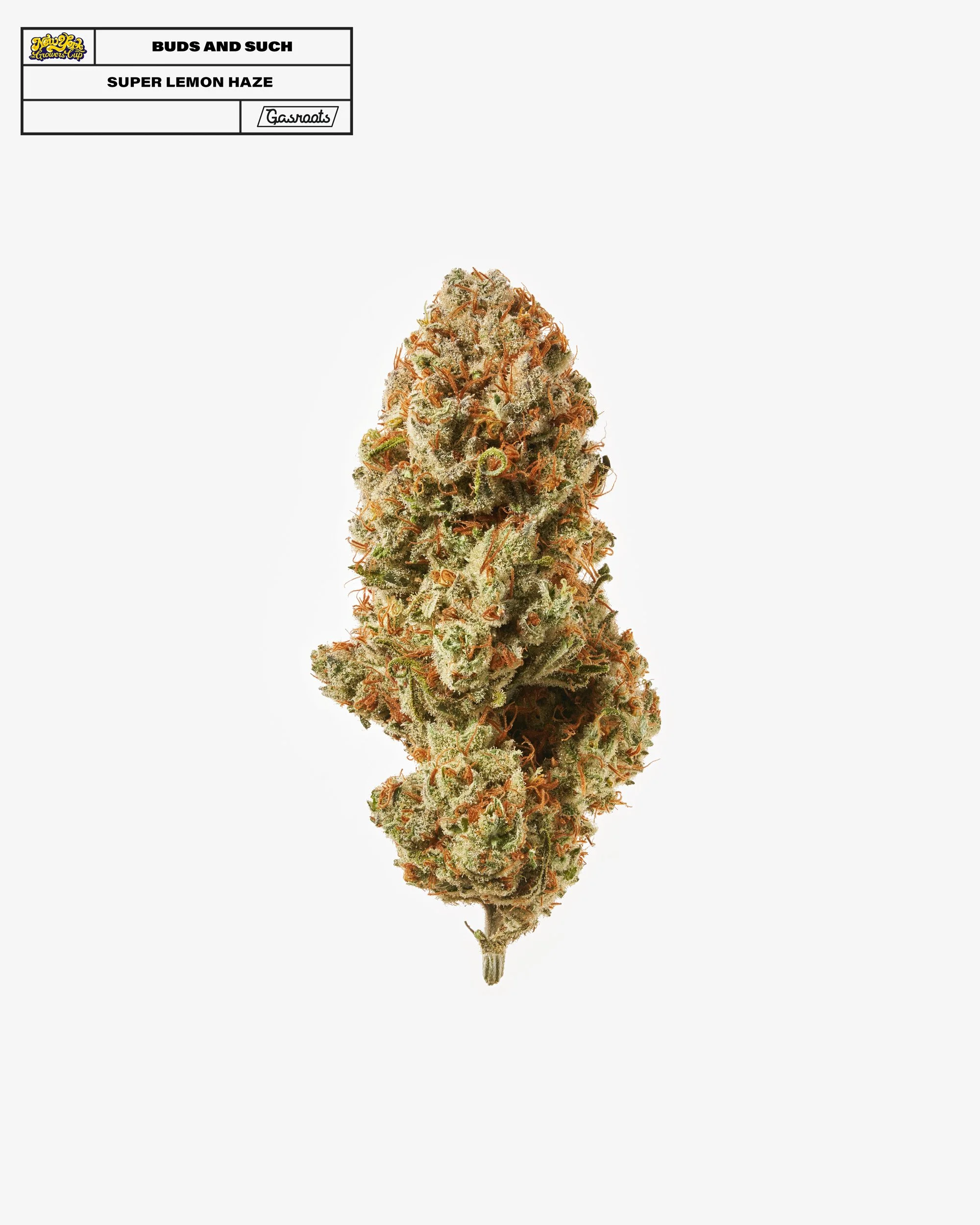 221011_NYSGC_EntryPhotos_H9_BudsAndSuch_SuperLemonHaze_A 1.jpg