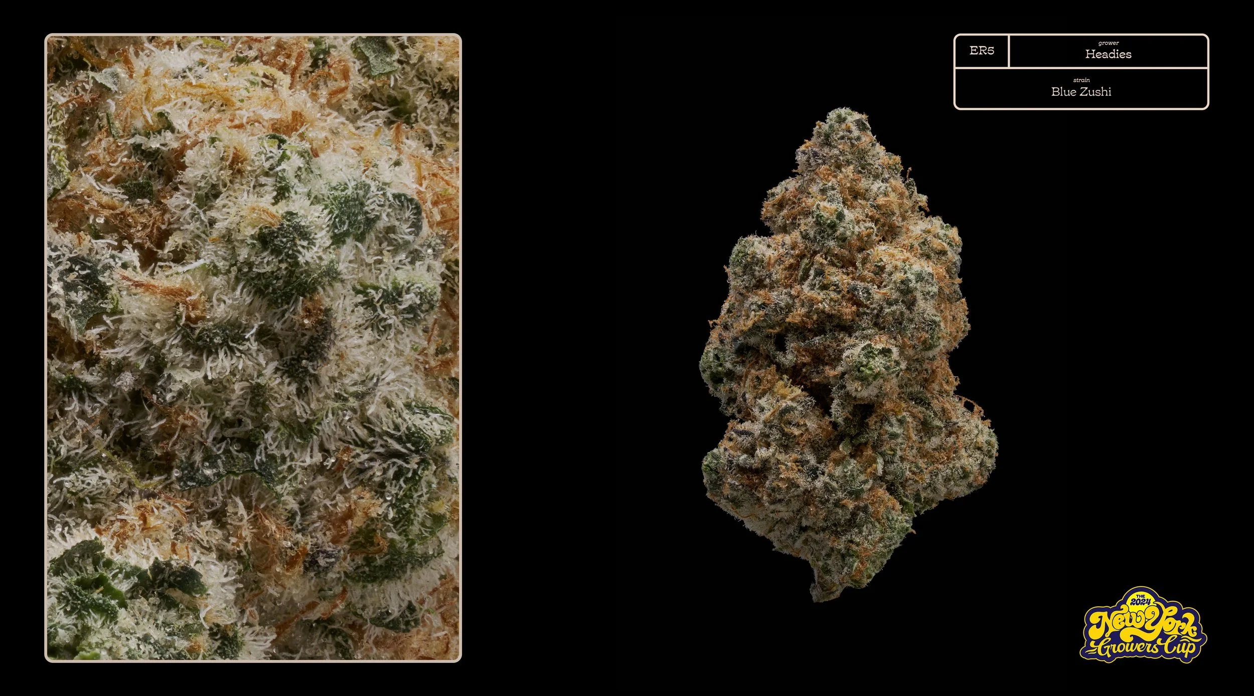 2024_NYGC_Slideshow-Entries_ER5_ Headies – “Blue Zushi” .jpg