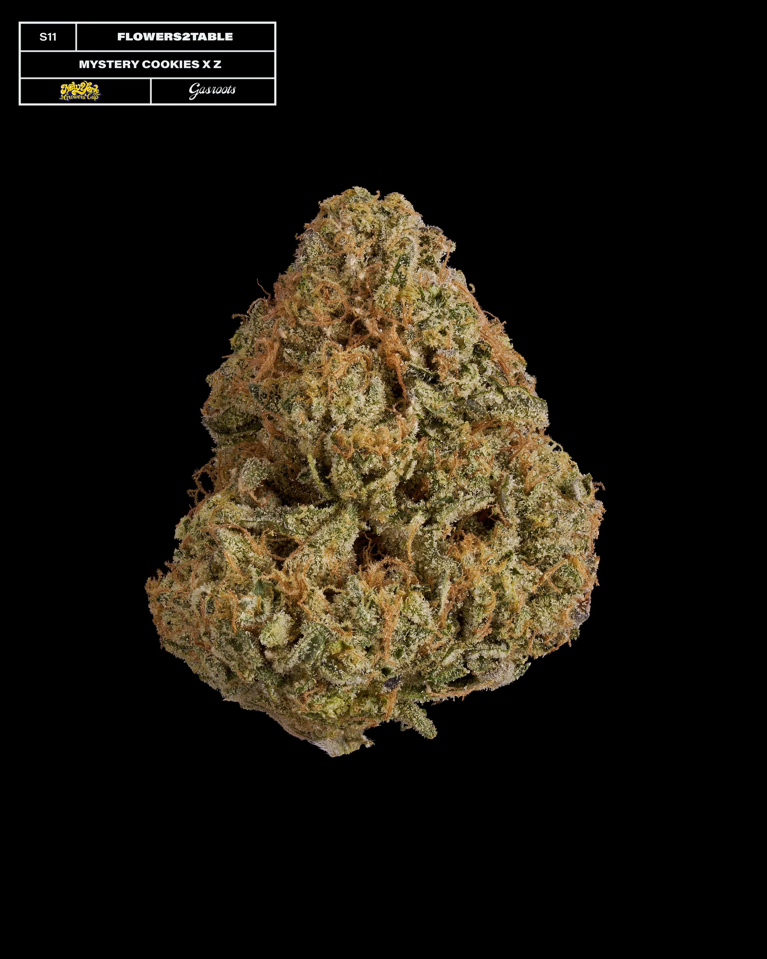 20231104_Gasroots_NYGrowersCup_S11_Flowers2Table_MysteryCookiesXZ_Infographic.jpg
