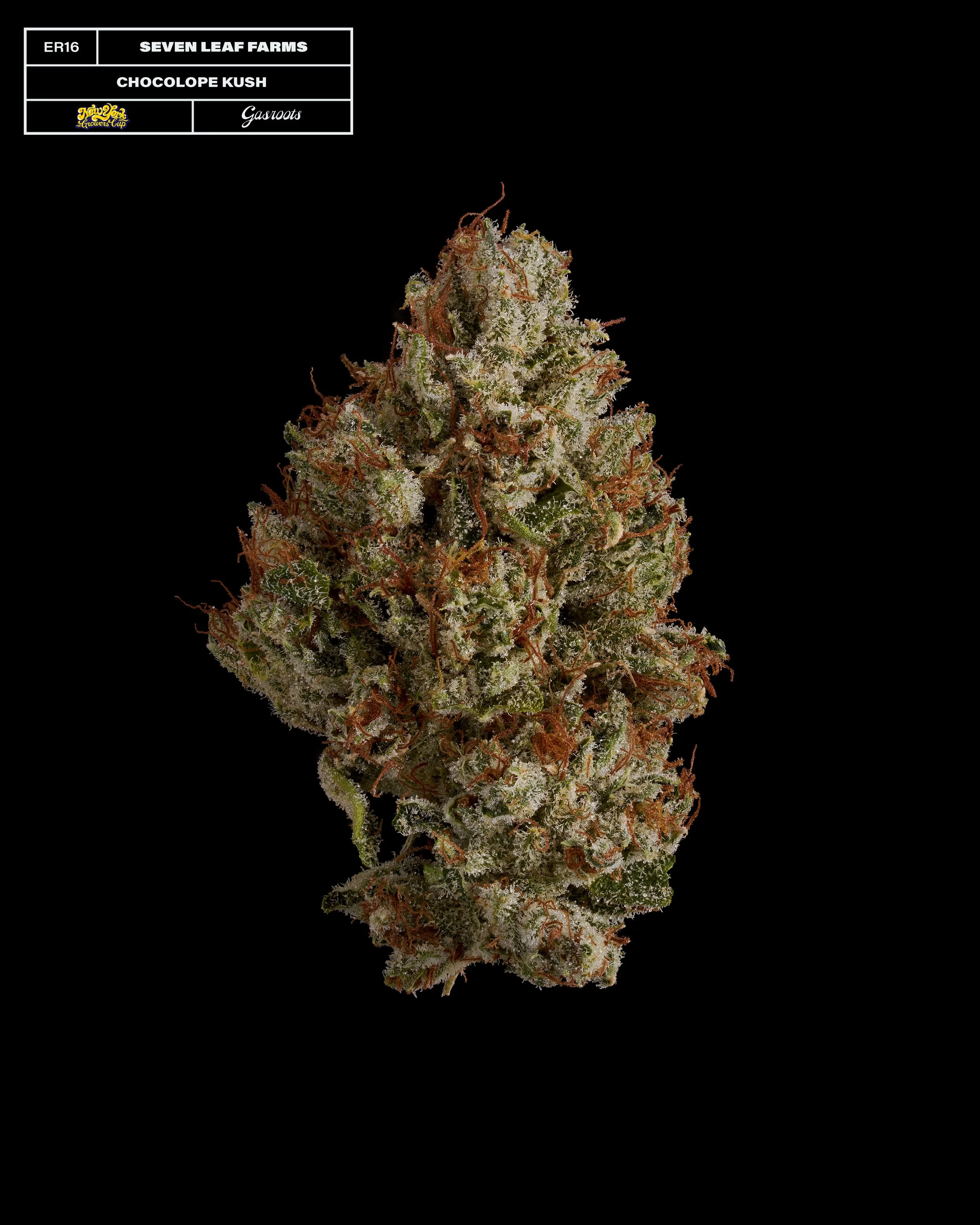 20231104_Gasroots_NYGrowersCup_ER16_SevenLeafFarms_ChocolopeKush_Infographic.jpg