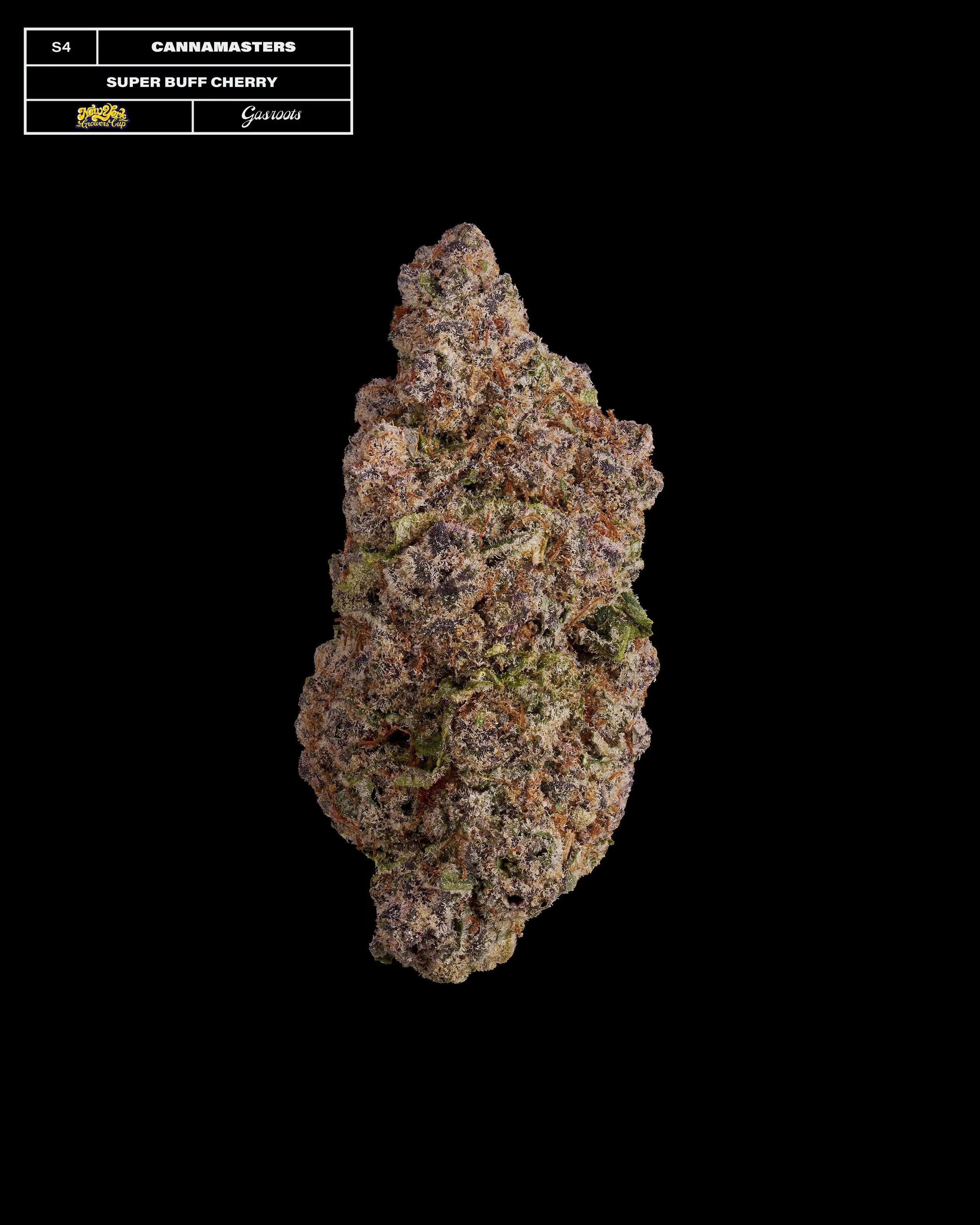 20231104_Gasroots_NYGrowersCup_S4_CannaMasters_SuperBuffCherry_Infographic.jpg