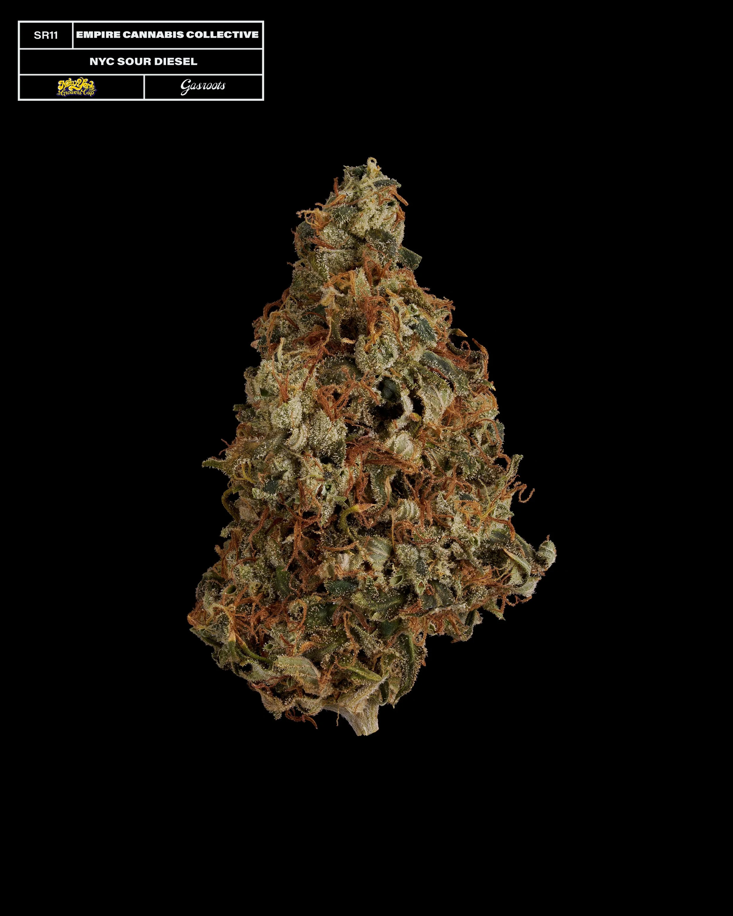 20231104_Gasroots_NYGrowersCup_SR11_EmpireCannabisCollective_NYCSourDiesel_Infographic.jpg