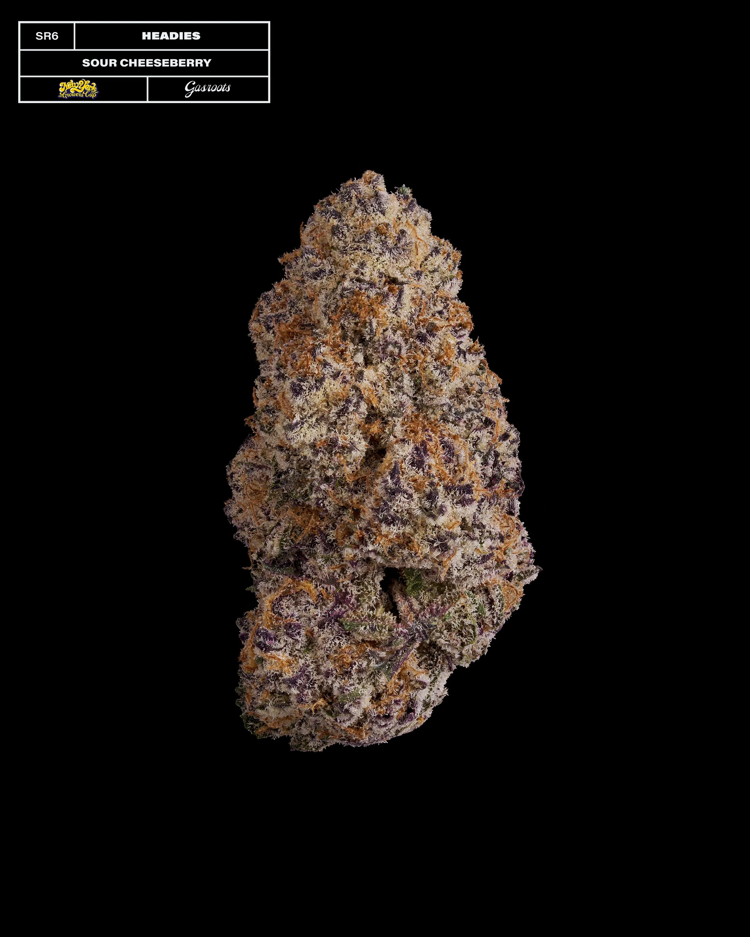 20231104_Gasroots_NYGrowersCup_SR6_Headies_SourCheeseberry_Infographic.jpg