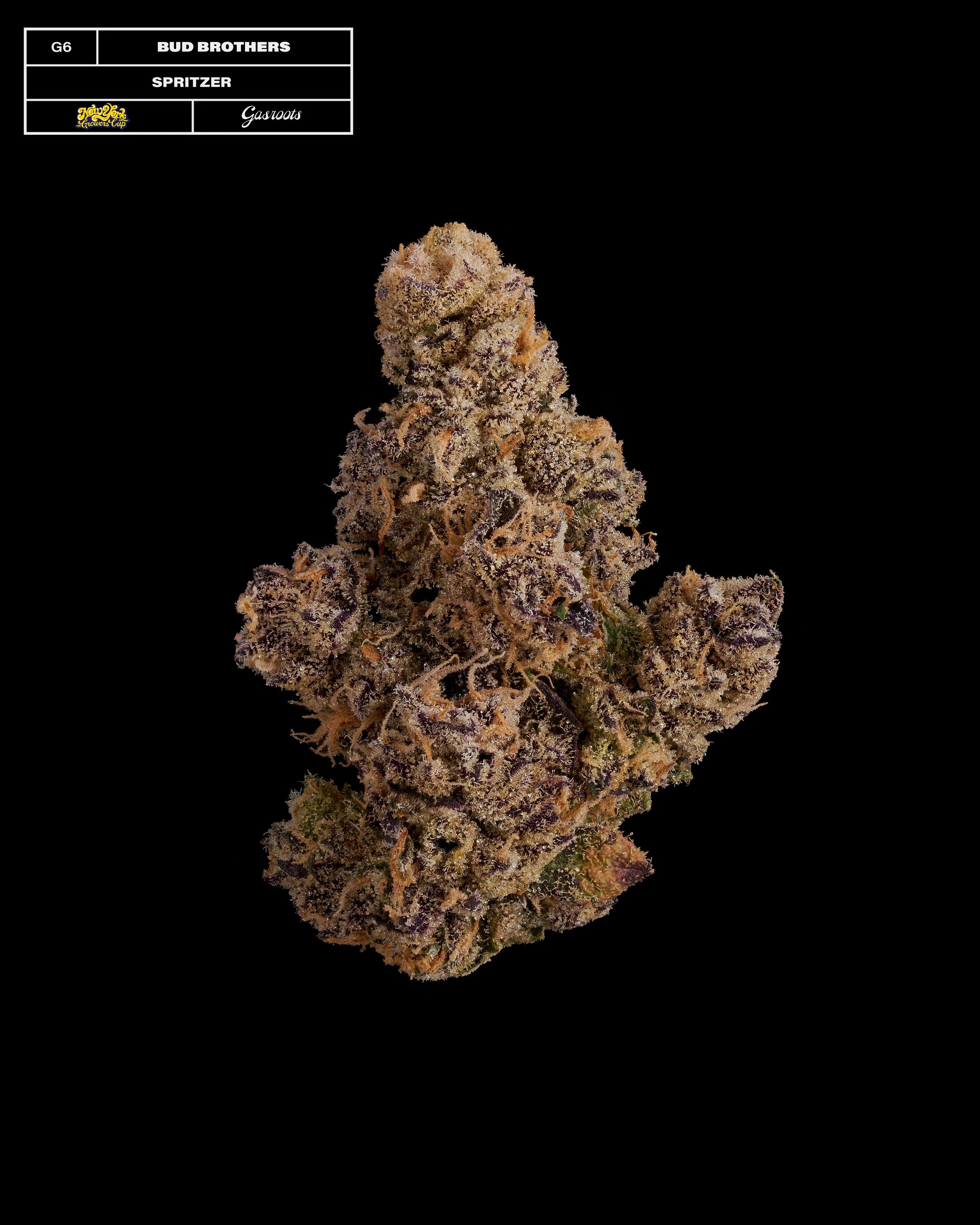 20231104_Gasroots_NYGrowersCup_G6_BudBrothers_Spritzer_Infographic.jpg