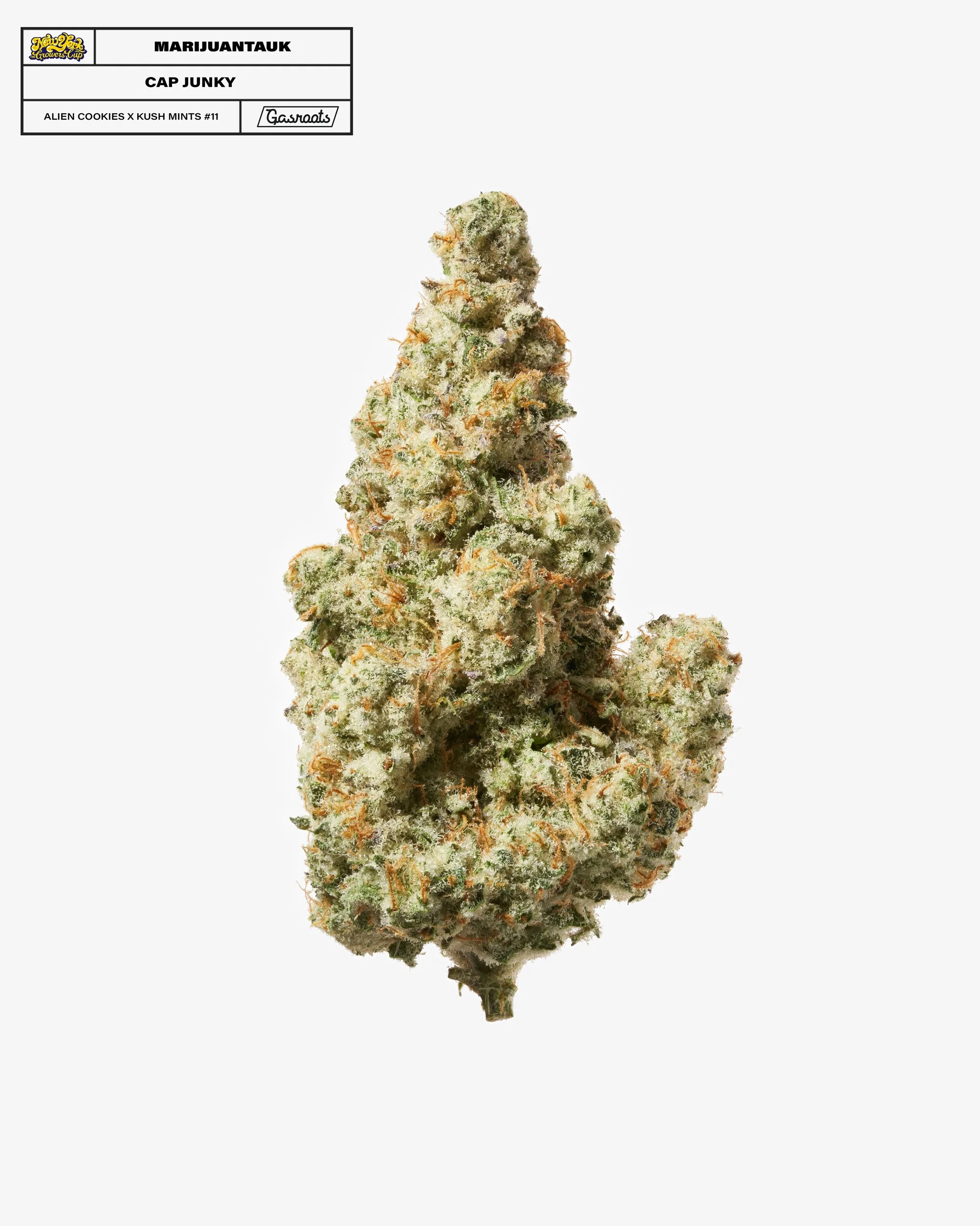 221011_NYSGC_EntryPhotos_ER1_Marijuantauk_CAPJunky_A_Final 1.jpg