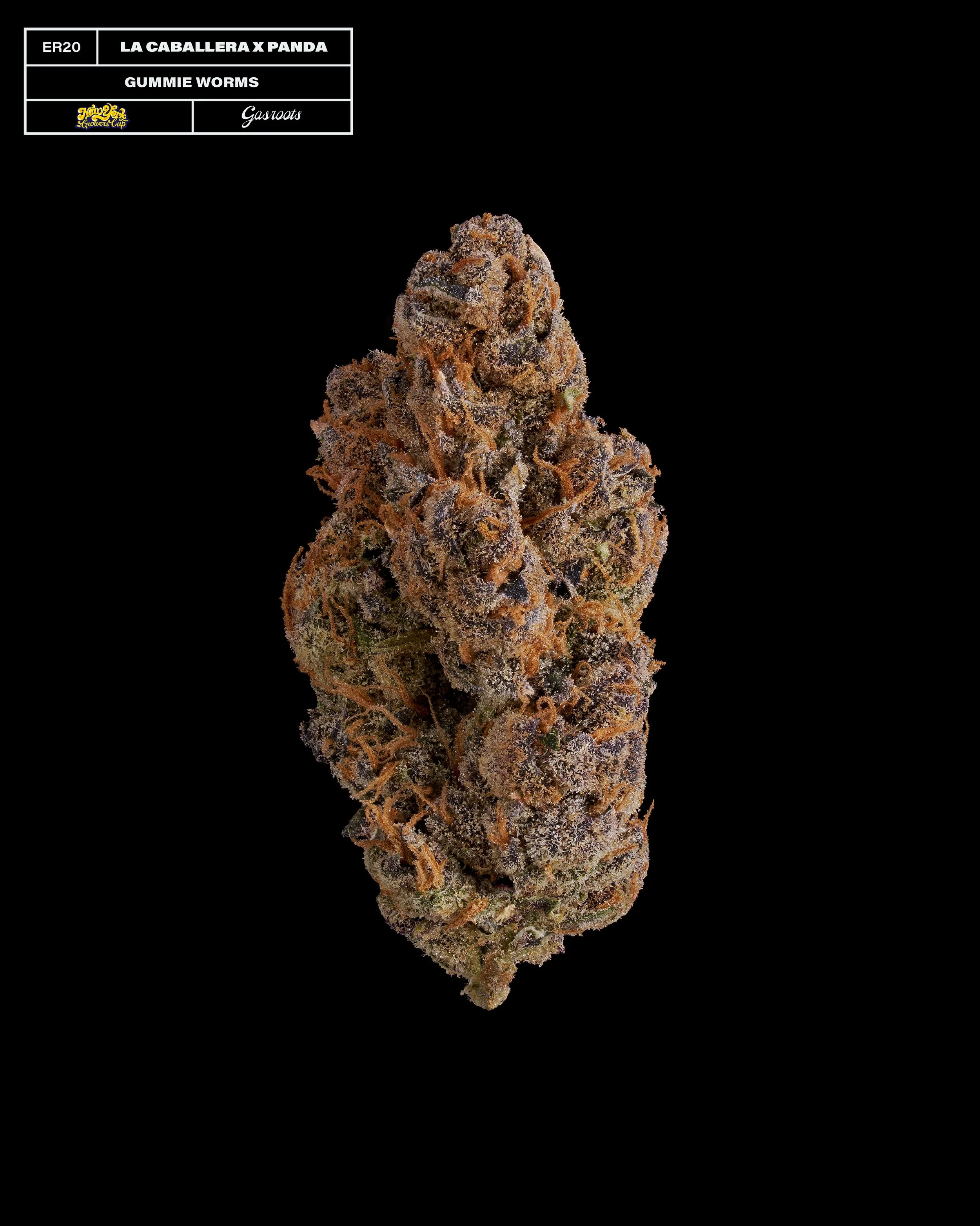 20231104_Gasroots_NYGrowersCup_ER20_LaCaballeraXPanda_GummieWorms_Infographic.jpg