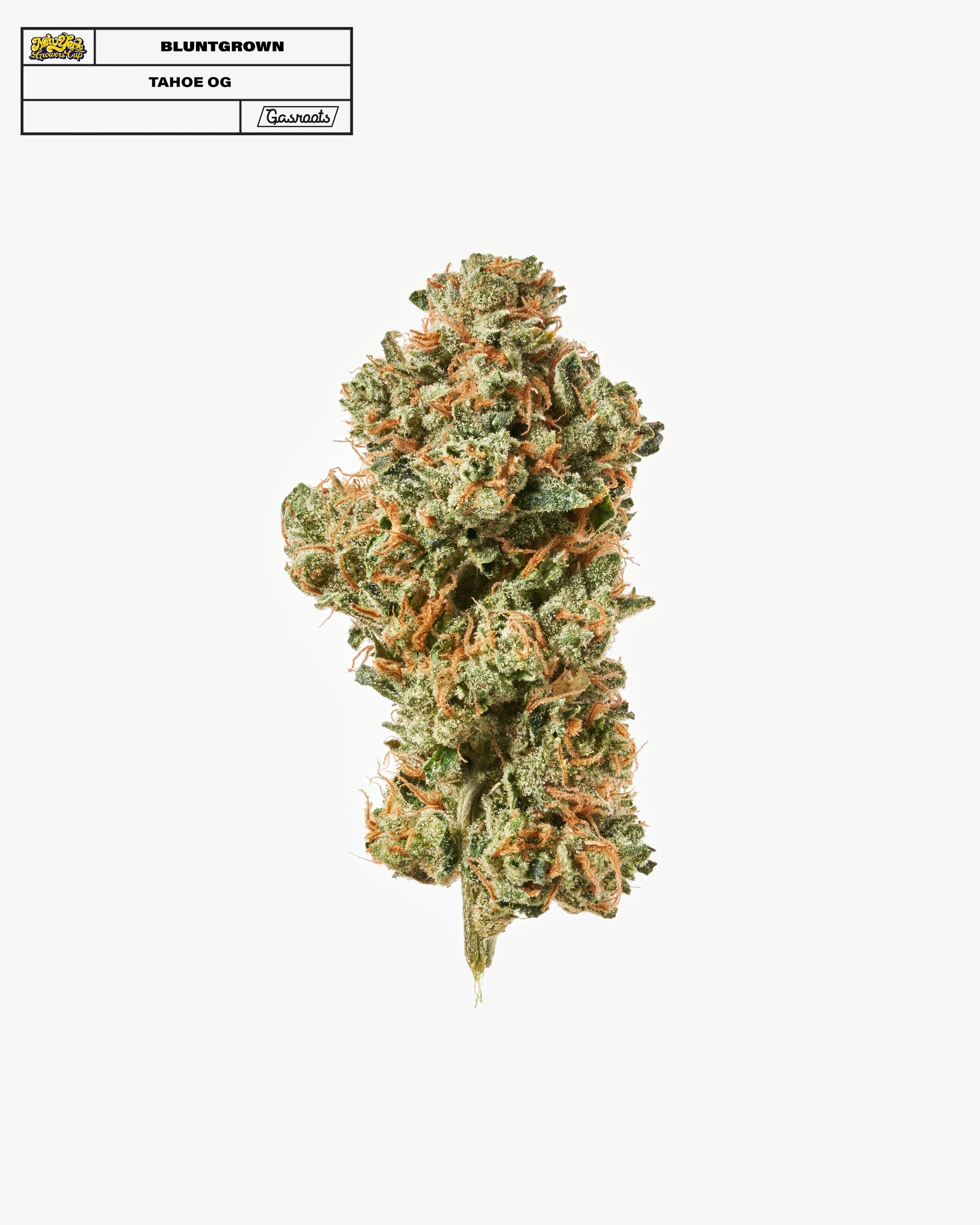 221011_NYSGC_EntryPhotos_G21_BluntGrown_TahoeOG_A 1.jpg