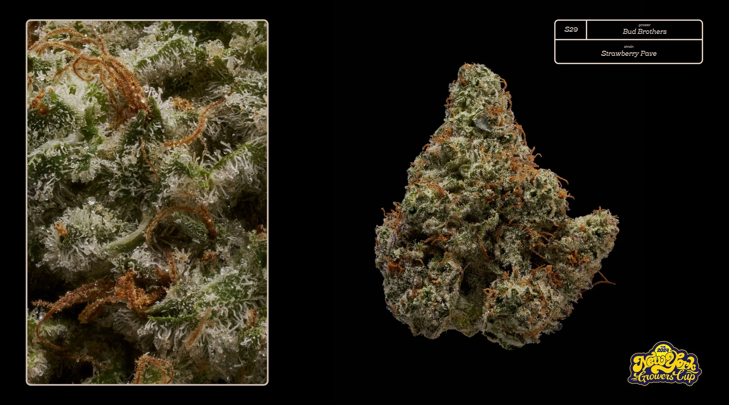 2024_NYGC_Slideshow-Entries_S29_ Bud Brothers – “Strawberry Pave”%0A.jpg