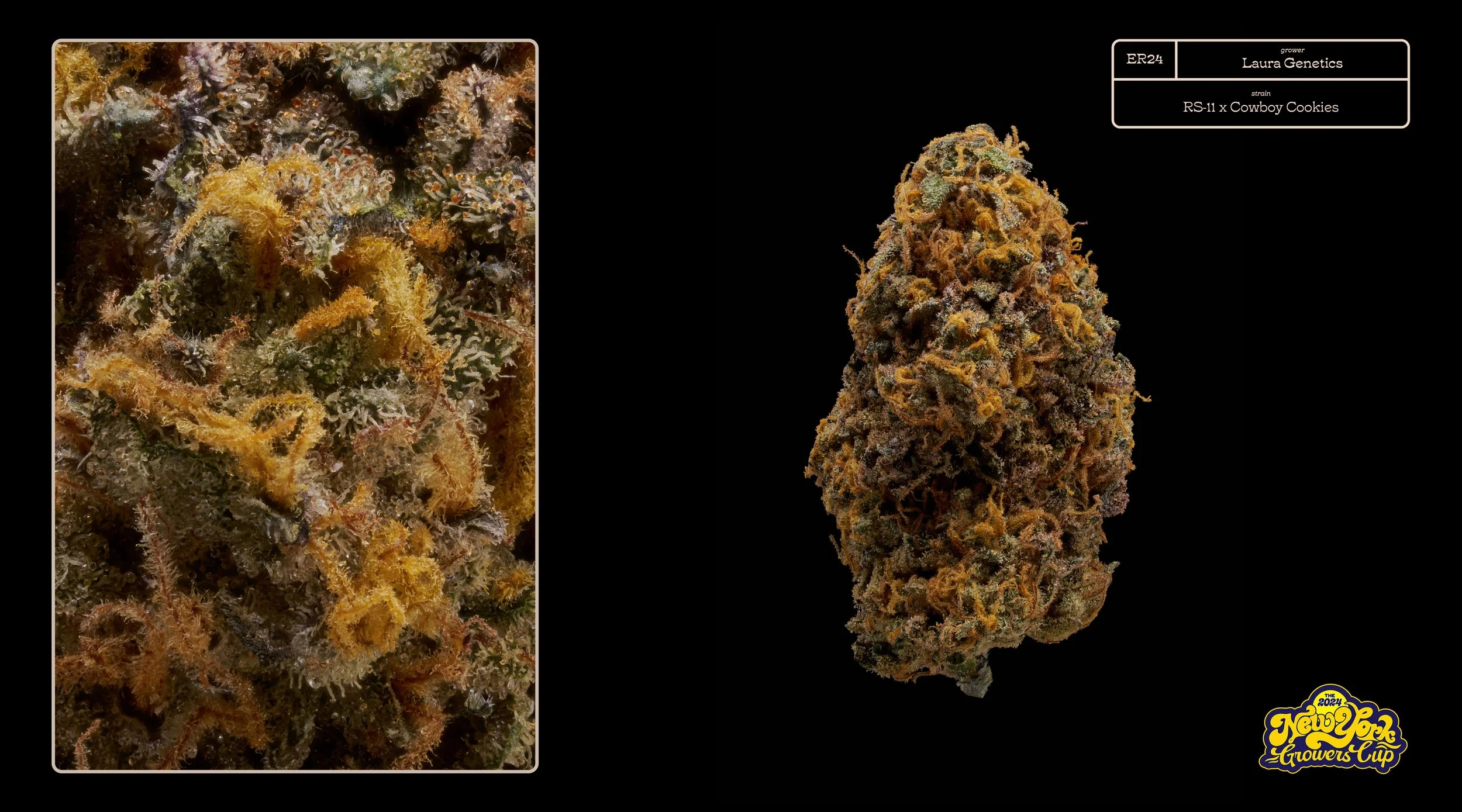2024_NYGC_Slideshow-Entries_ER24_ Laura Genetics – “RS-11 x Cowboy Cookies” .jpg