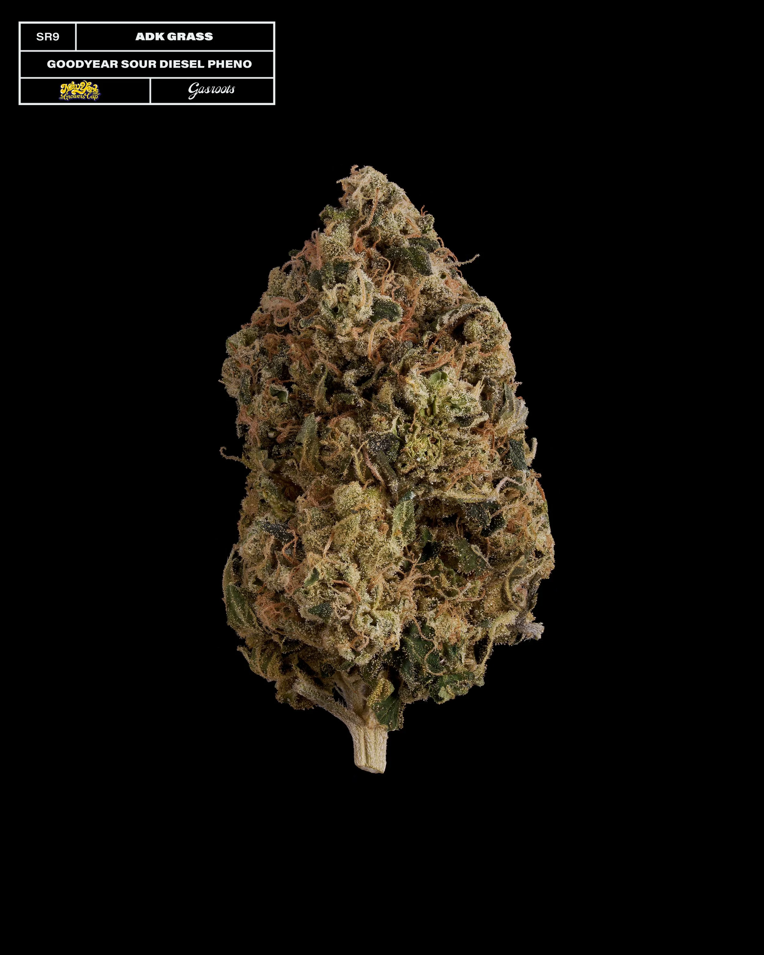 20231104_Gasroots_NYGrowersCup_SR9_ADKGrass_GoodyearSourDiesel_Infographic.jpg