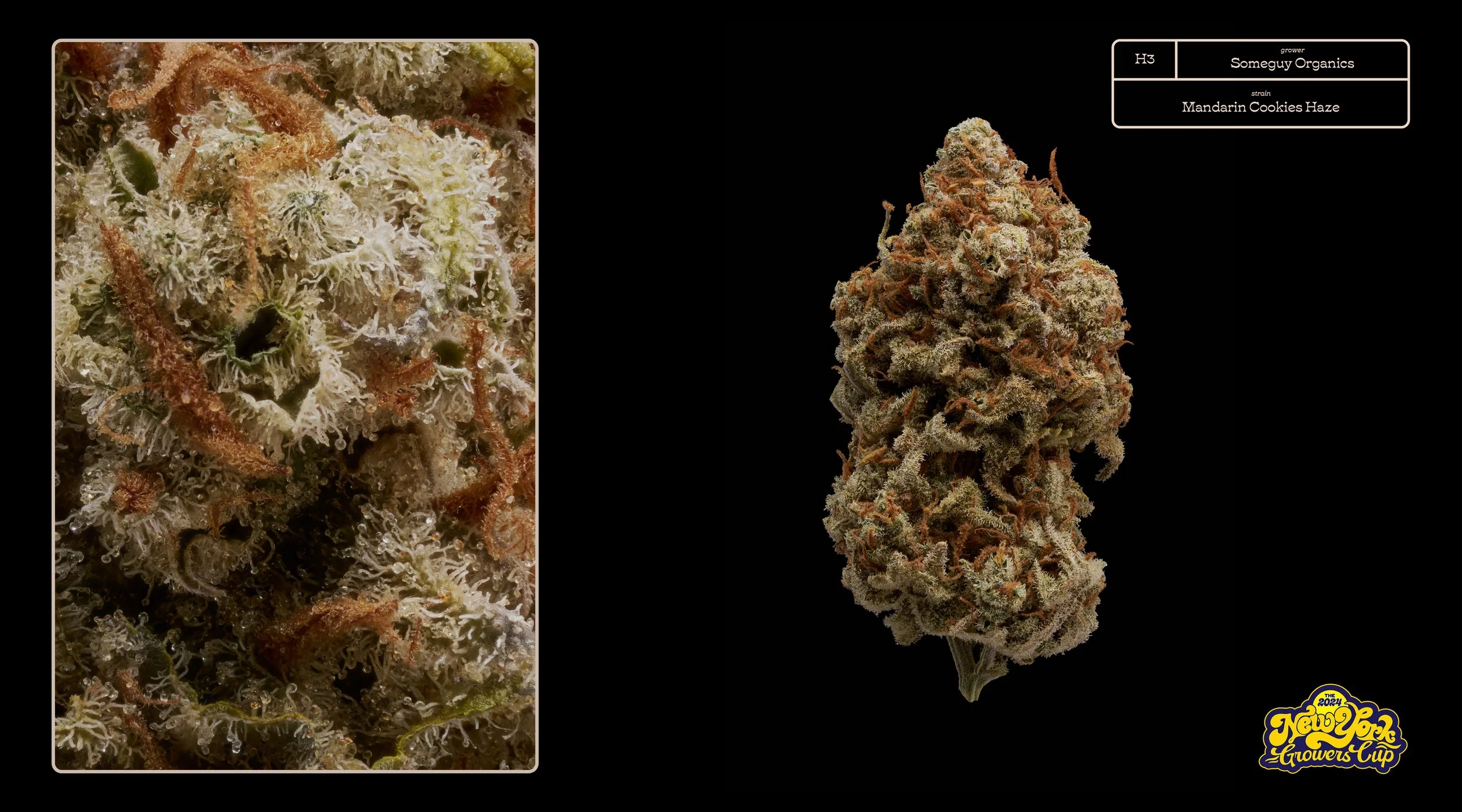 2024_NYGC_Slideshow-Entries_H3_ Someguy Organics – “Mandarin Cookies Haze” .jpg