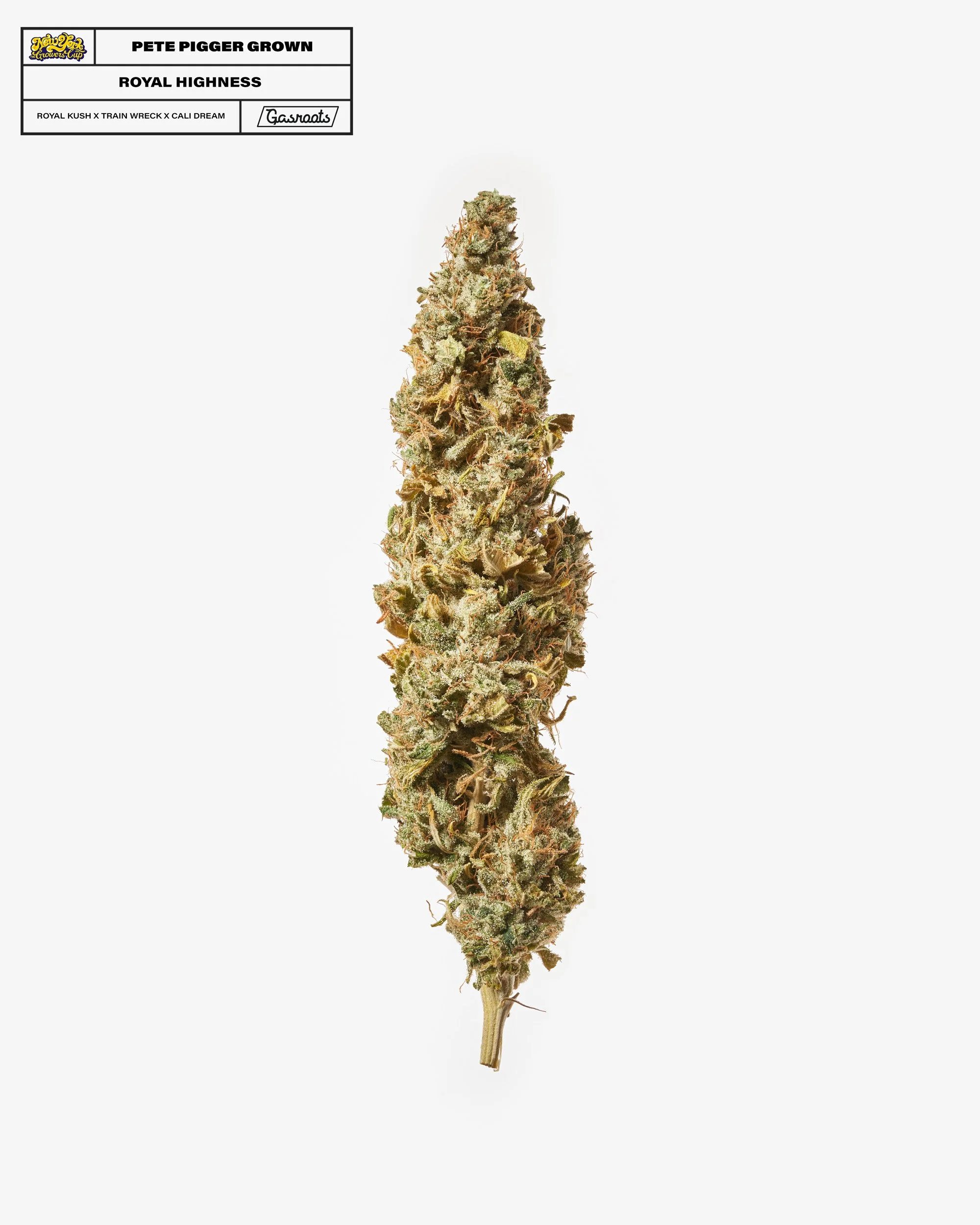 221011_NYSGC_EntryPhotos_O3_PetePiggerGrown_RoyalHighness_A_Final 1.jpg