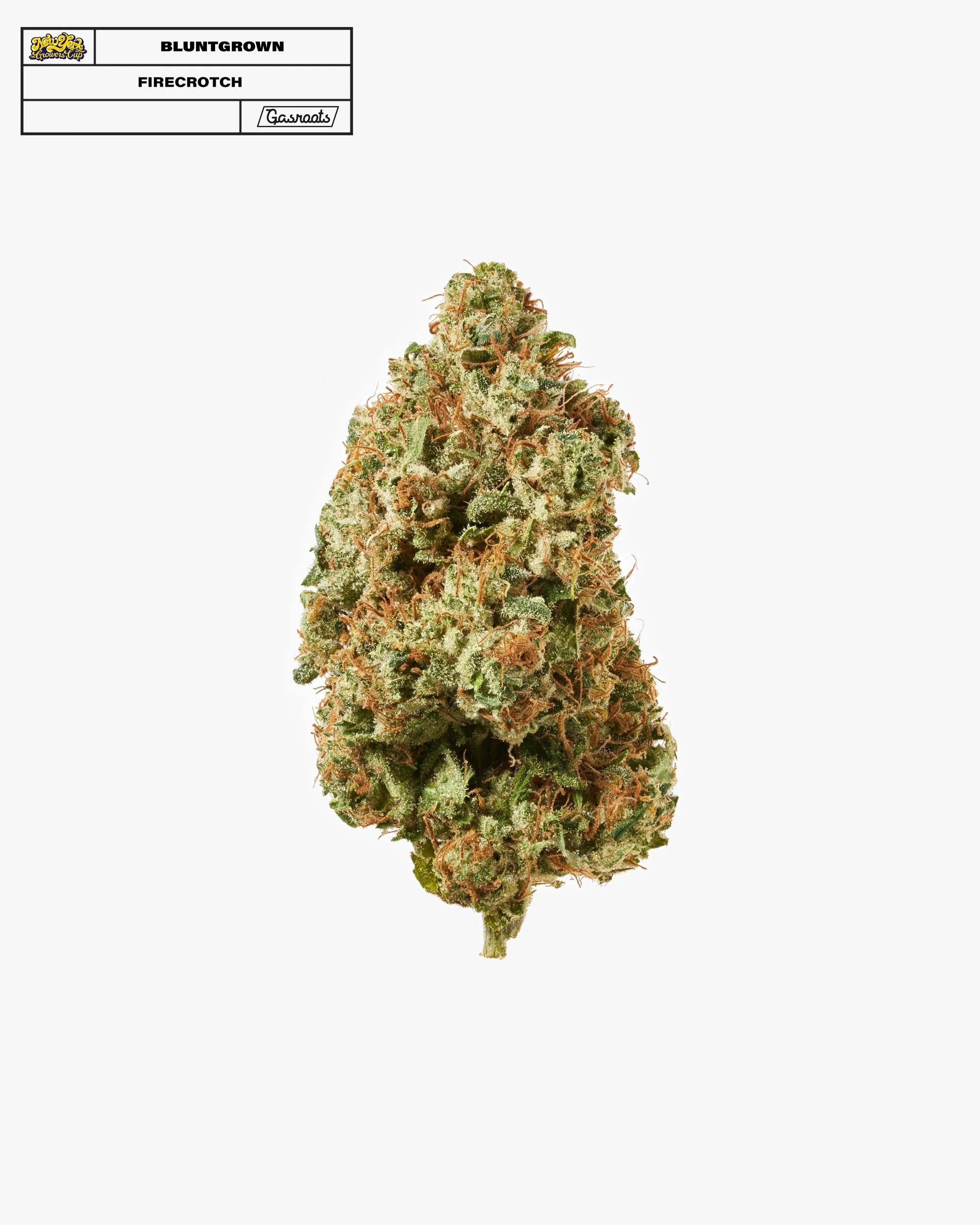 221011_NYSGC_EntryPhotos_H10_BluntGrown_Firecrotch_A 1.jpg