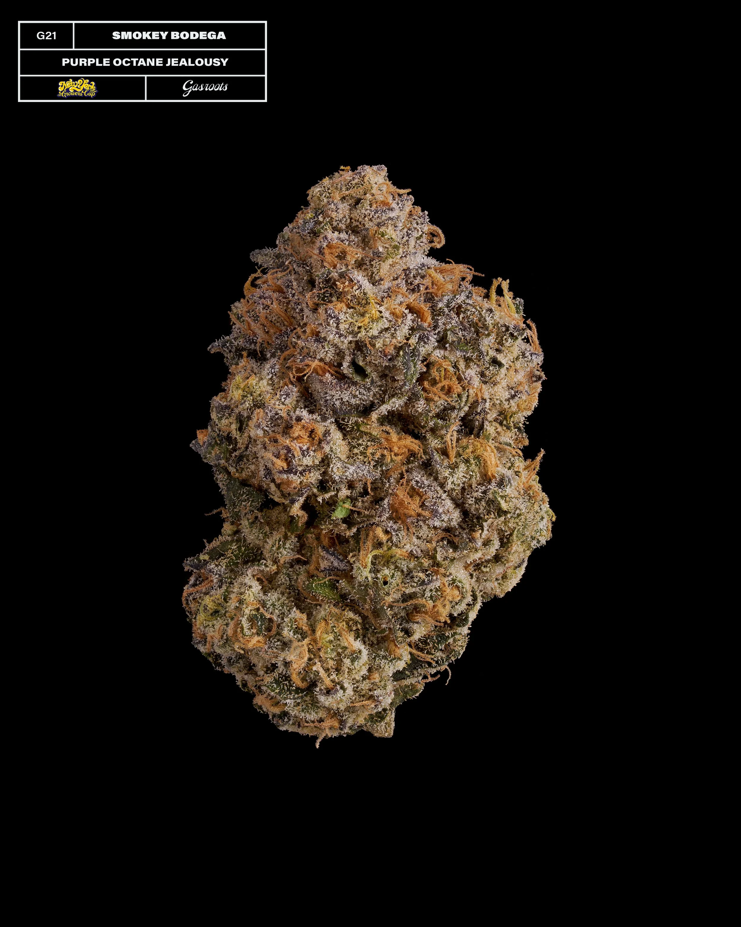 20231104_Gasroots_NYGrowersCup_G21_SmokeyBodega_PurpleOctaneJealousy_Infographic.jpg