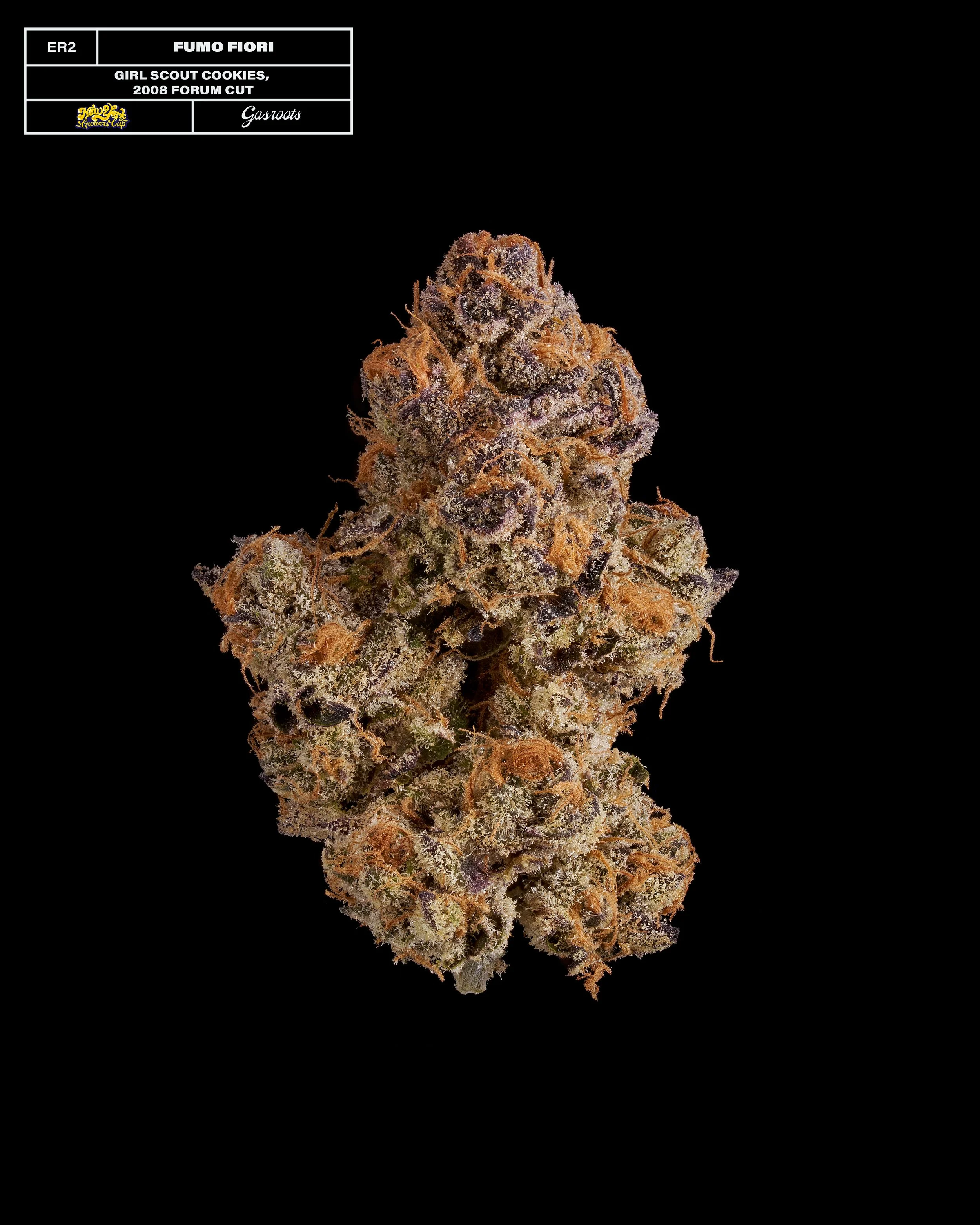 20231104_Gasroots_NYGrowersCup_ER2_FumoFiori_GirlScoutCookies_Infographic.jpg