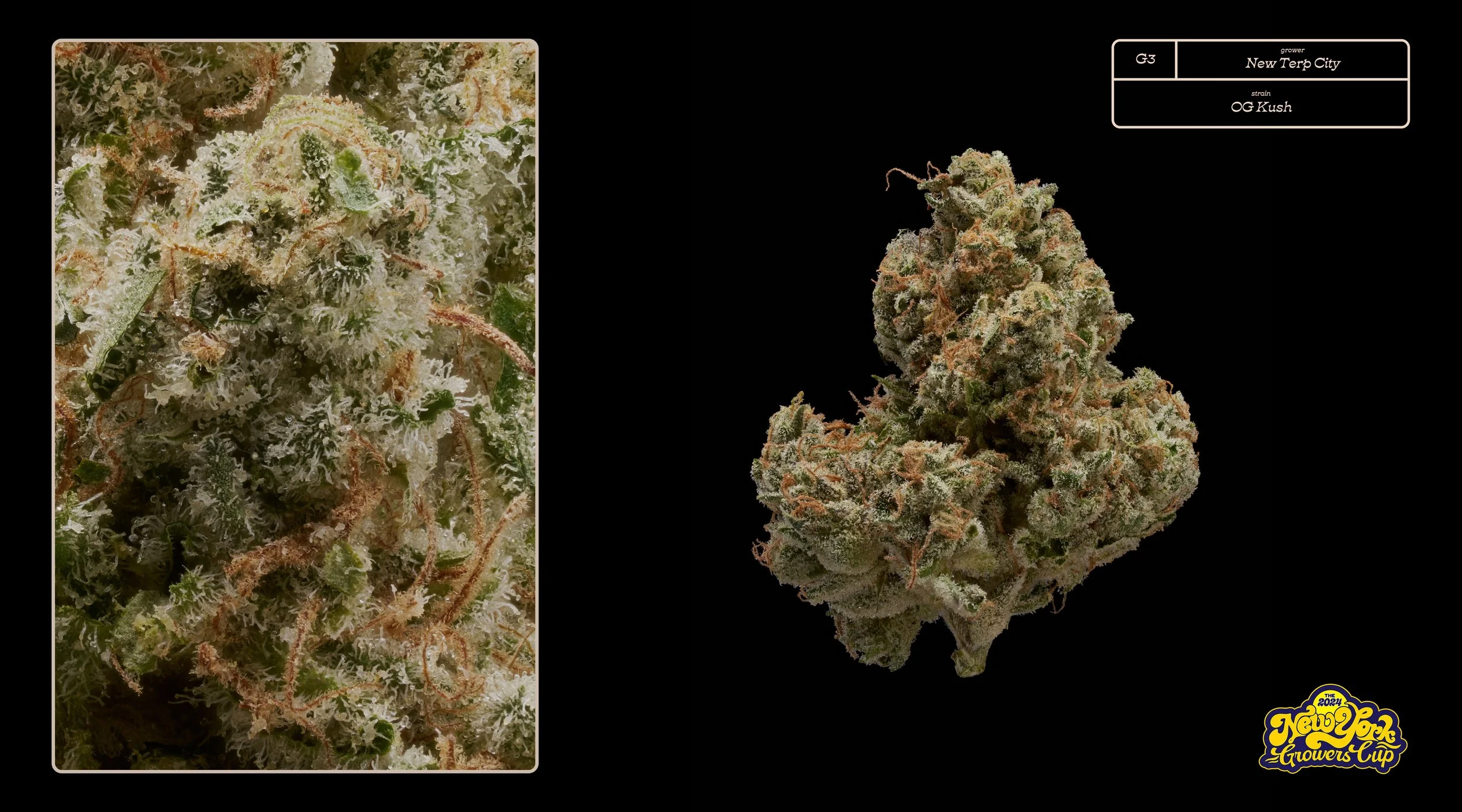 2024_NYGC_Slideshow-Entries_G3_ New Terp City – “OG Kush”%0A.jpg