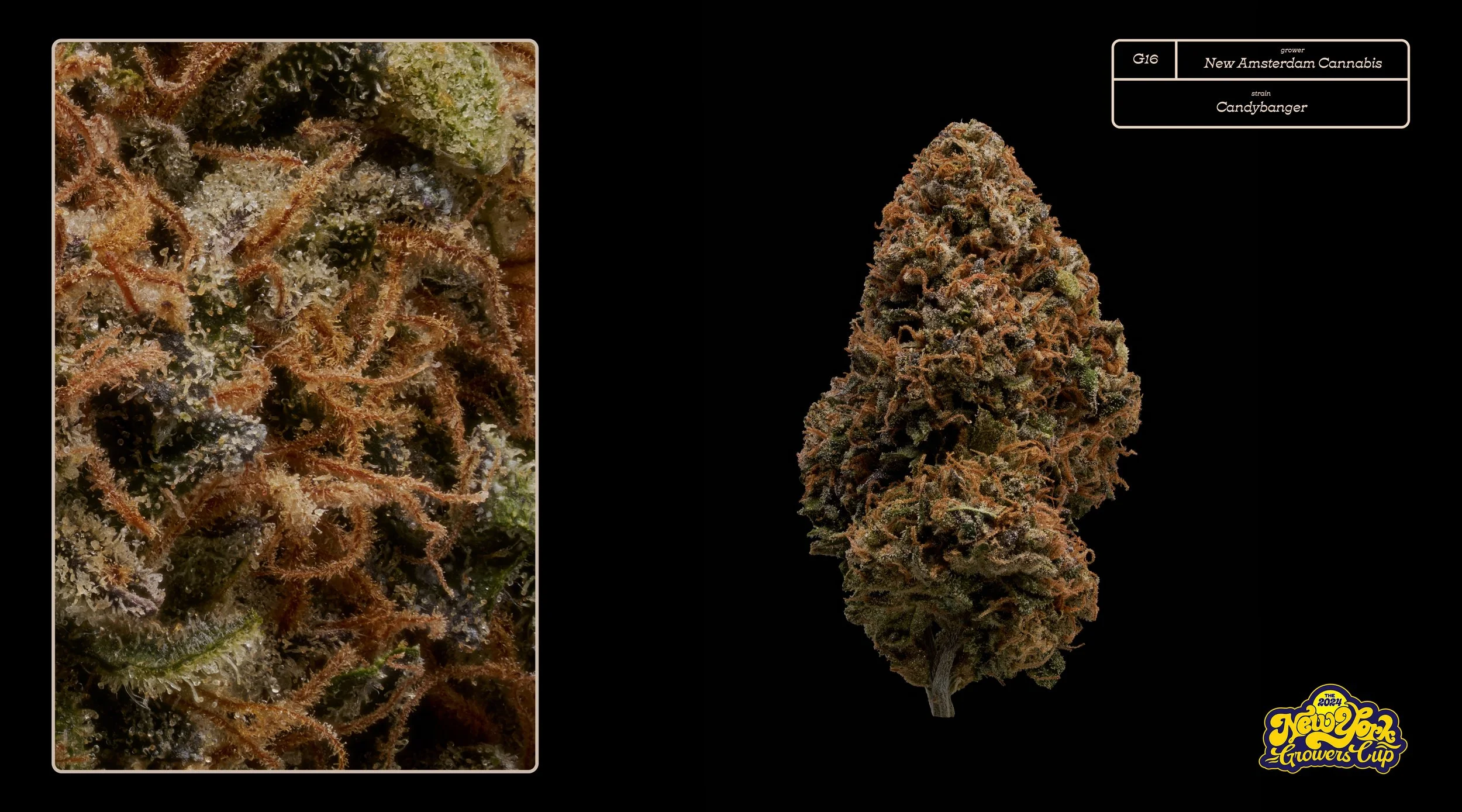 2024_NYGC_Slideshow-Entries_G16_ New Amsterdam Cannabis – “Candybanger”%0A.jpg