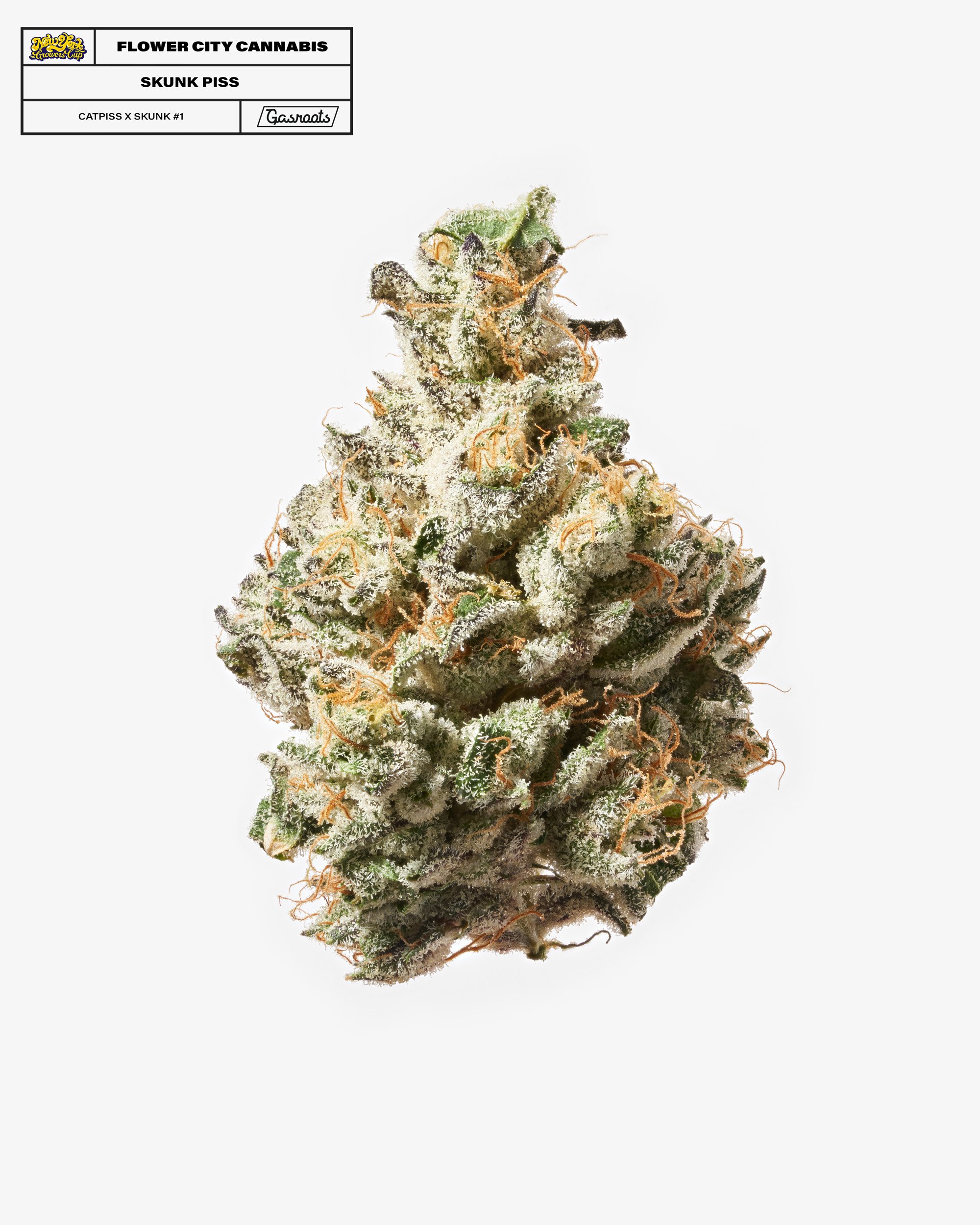 221011_NYSGC_EntryPhotos_G3_FlowerCityCannabis_SkunkPiss_A_Final 1.jpg